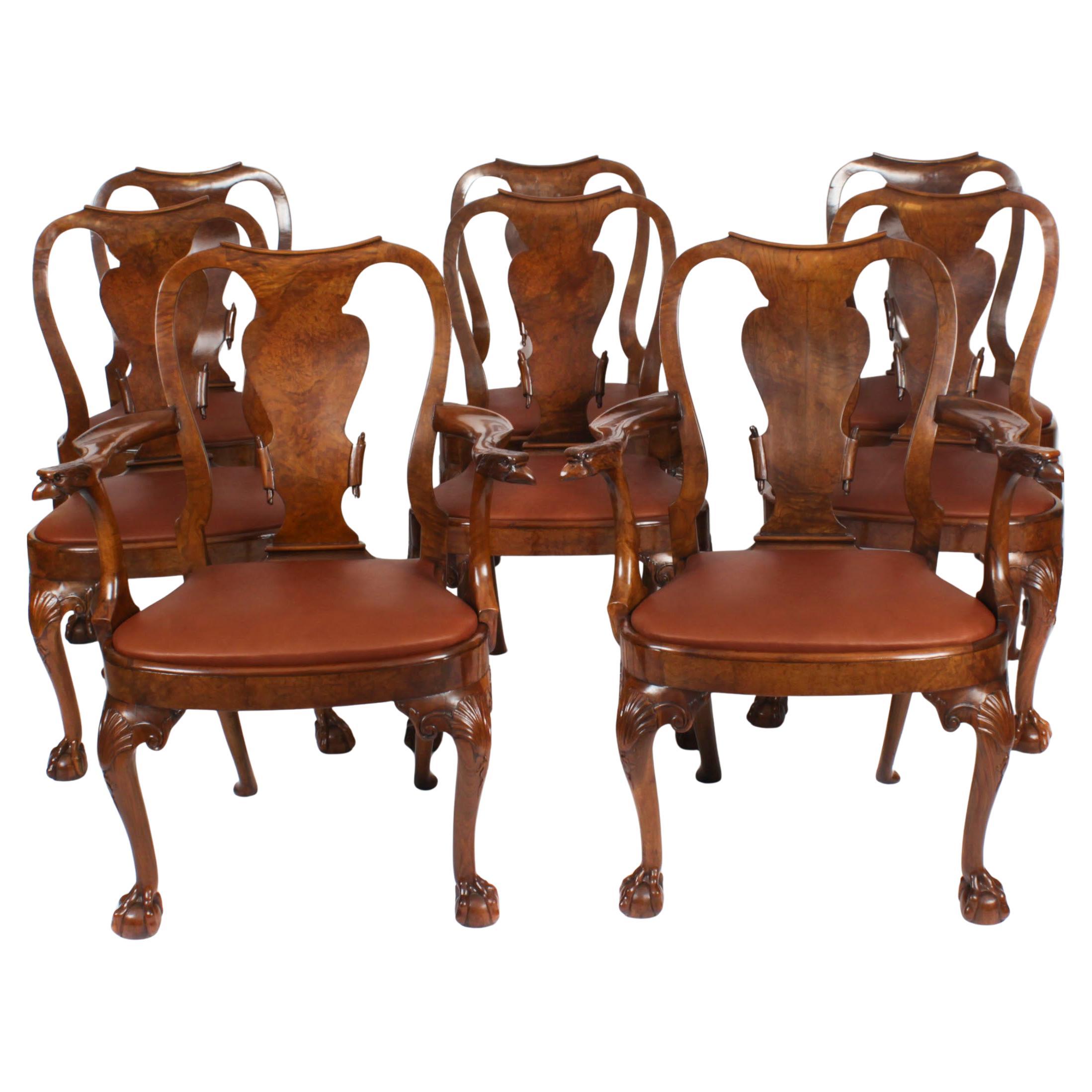 Vintage Set 8 Queen Anne Revival Burr Walnut Dining Chairs 20th Century