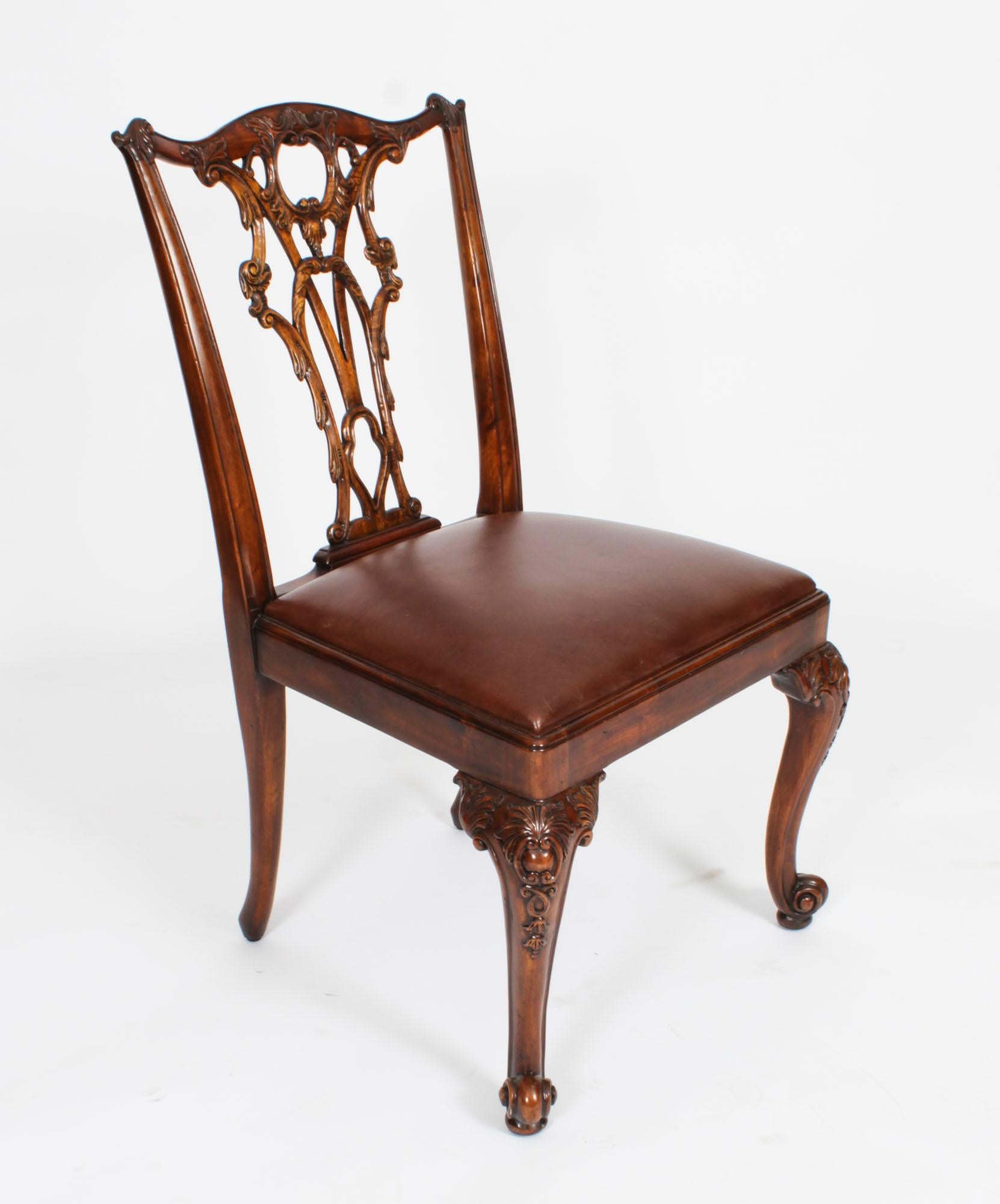 A beautiful Vintage set of twelve solid mahogany Chippendale Revival dining chairs, comprising ten sidechairs and two armchairs, dating from the mid 20th century.

They have been crafted from hand carved solid flame mahogany with drop in seats