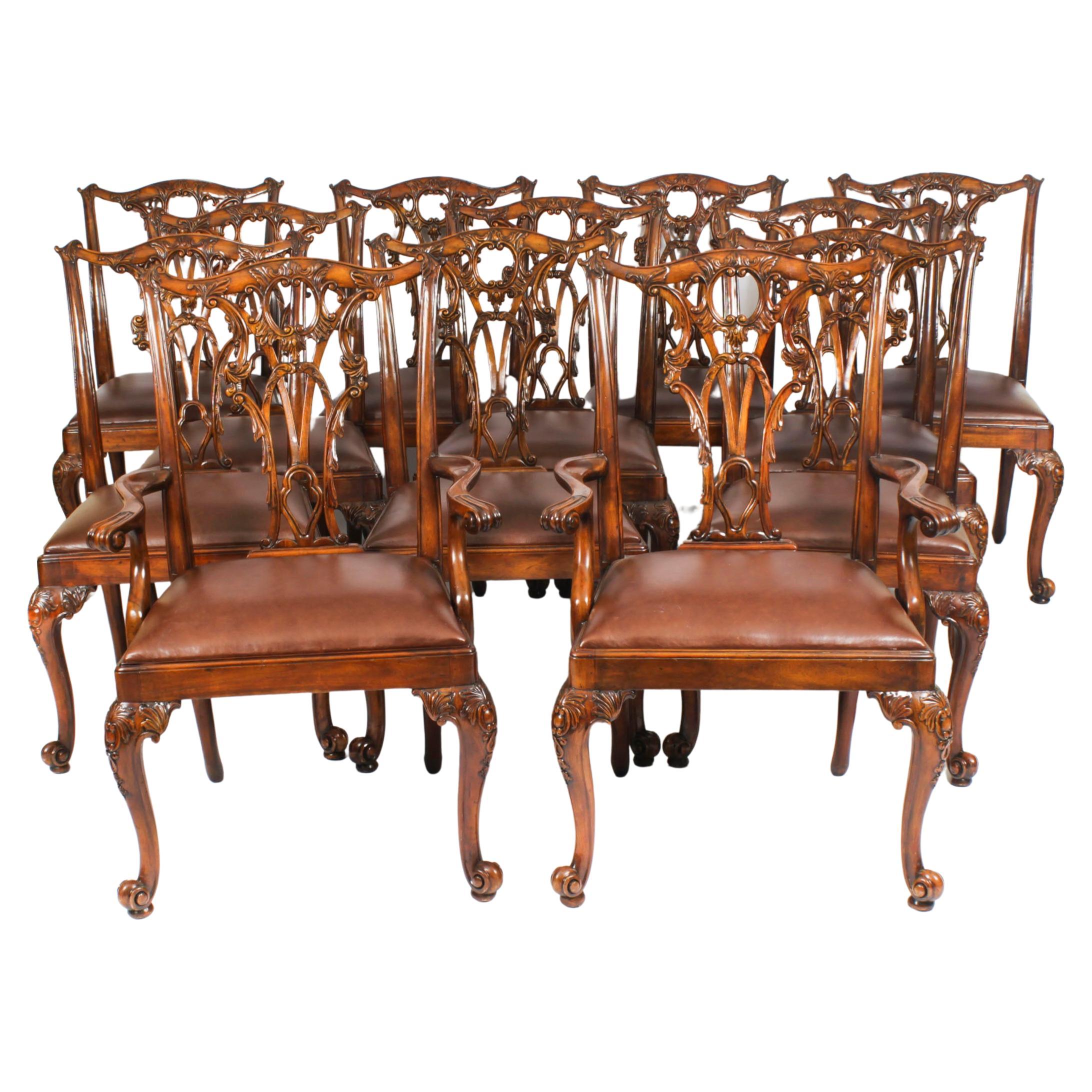 Vintage Set of 12 Mahogany Chippendale Dining Chairs Mid 20th Century