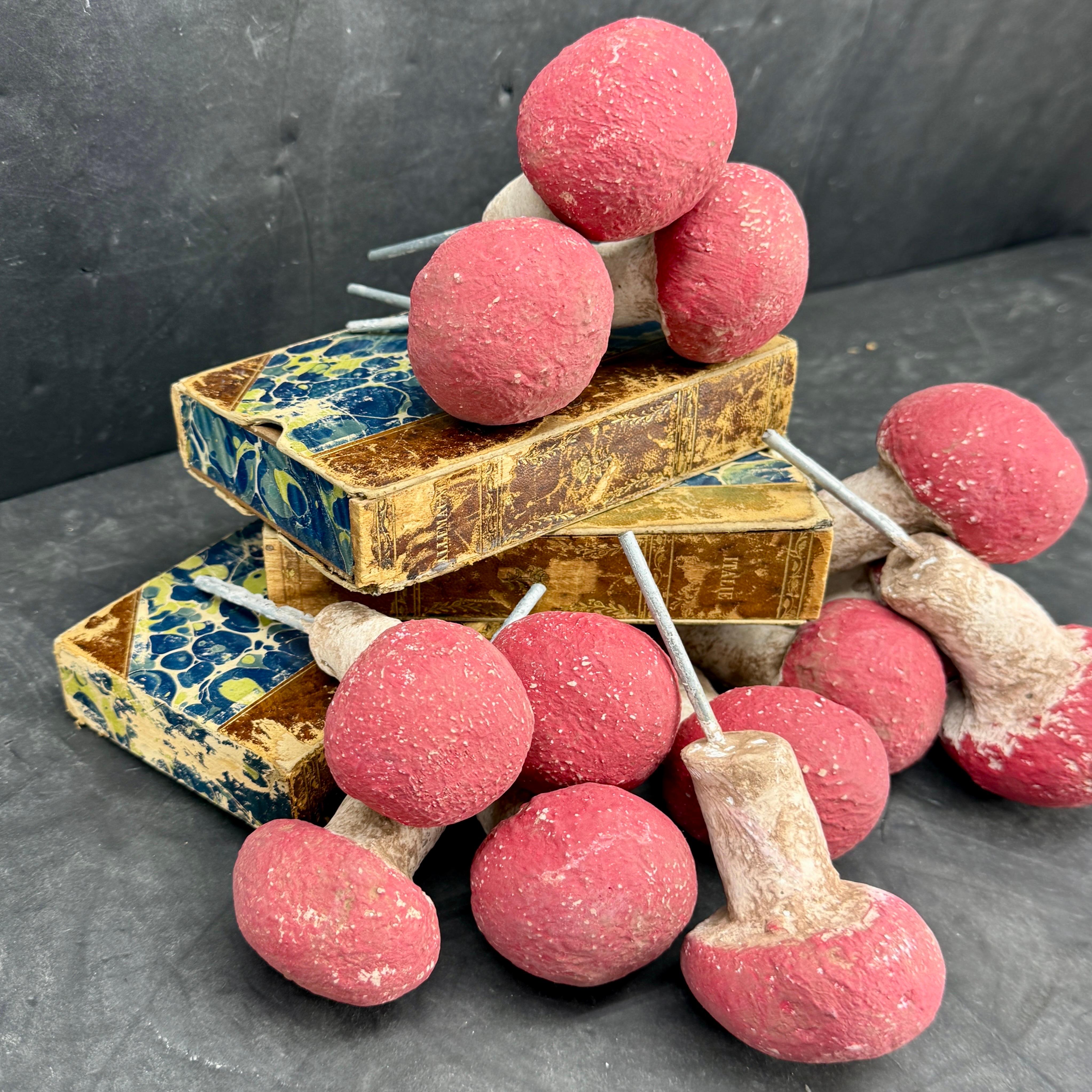 Fantastic set of 13 concrete mushrooms with an aged patina. These decorative mushrooms could be used indoors or out. We see them grouped sitting on a coffee table atop books or in an outdoor garden. Certainly, a delightful way to add a touch of