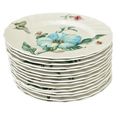 Vintage Set of 15 Villeroy & Boch Flower Plates