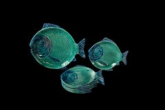 Vintage Set of 6 Blue and Green Fish Shaped Fish Plates and one Large plater