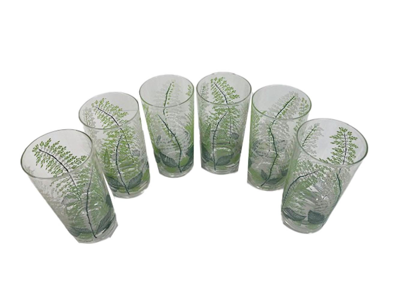 Set von 6 schwer zu findenden Highball-Gläsern im Design von Georges Briard mit grünen und weißen Farnwedeln. Leuchtend grüne und weiße Farnwedel aus Emaille erheben sich an den Seiten des Glases über dunkelgrüne Blätter am Boden.