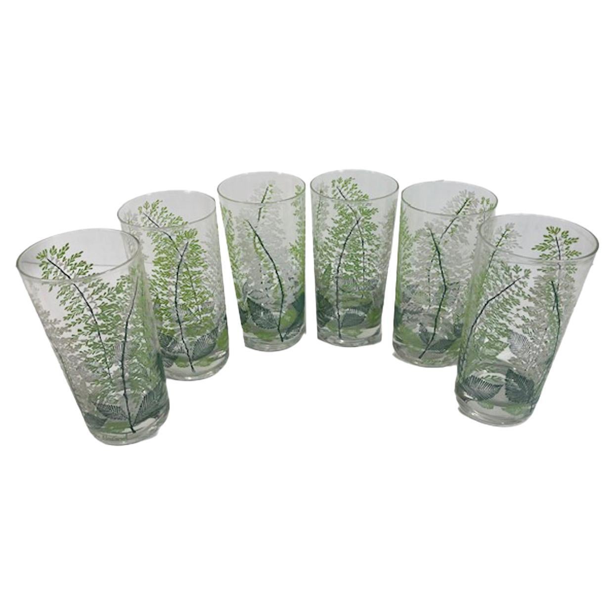 Vintage Set of 6 Fern Decorated Highball Glasses Signed Georges Briard For Sale