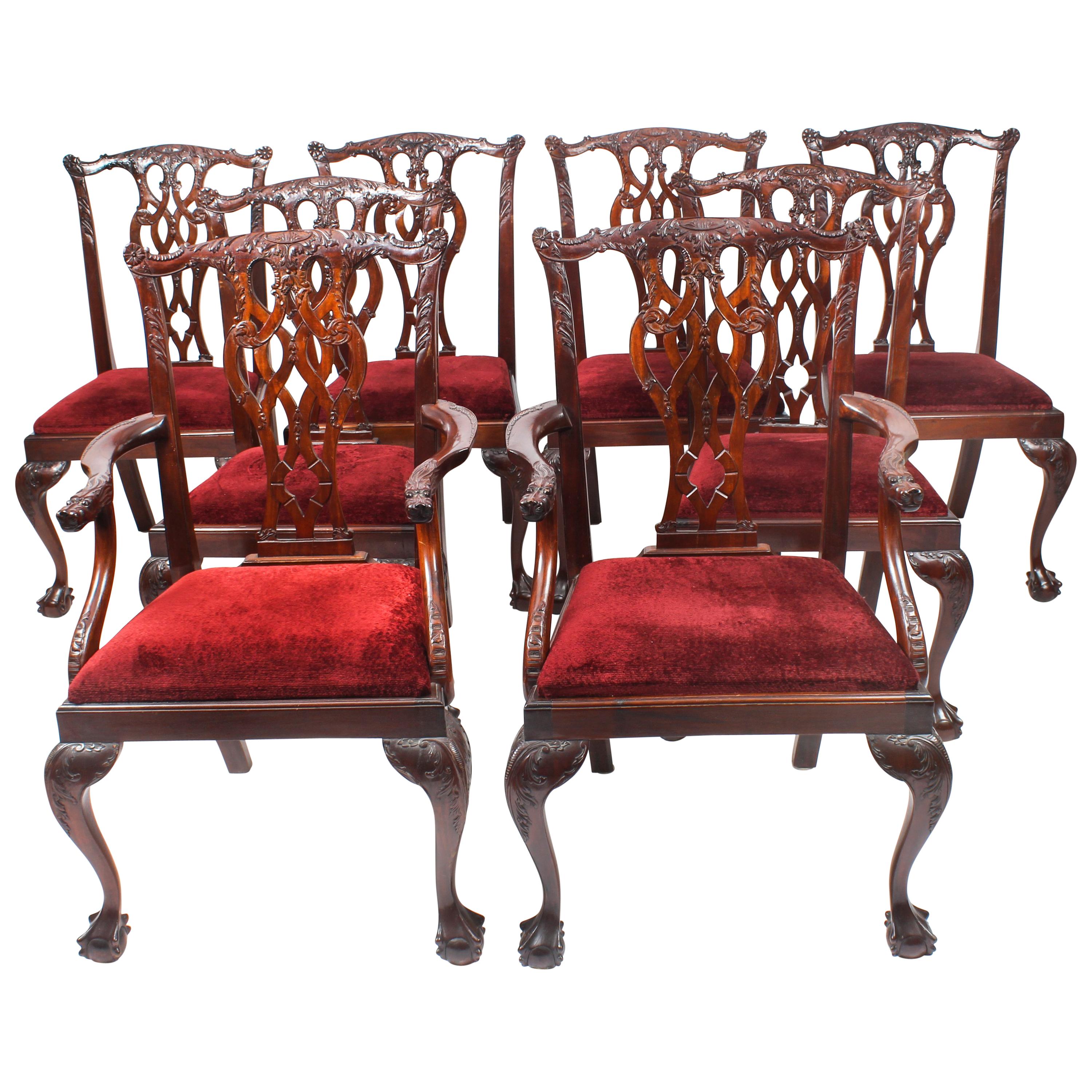 Vintage Set of 8 Mahogany Chippendale Dining Chairs, 20th Century