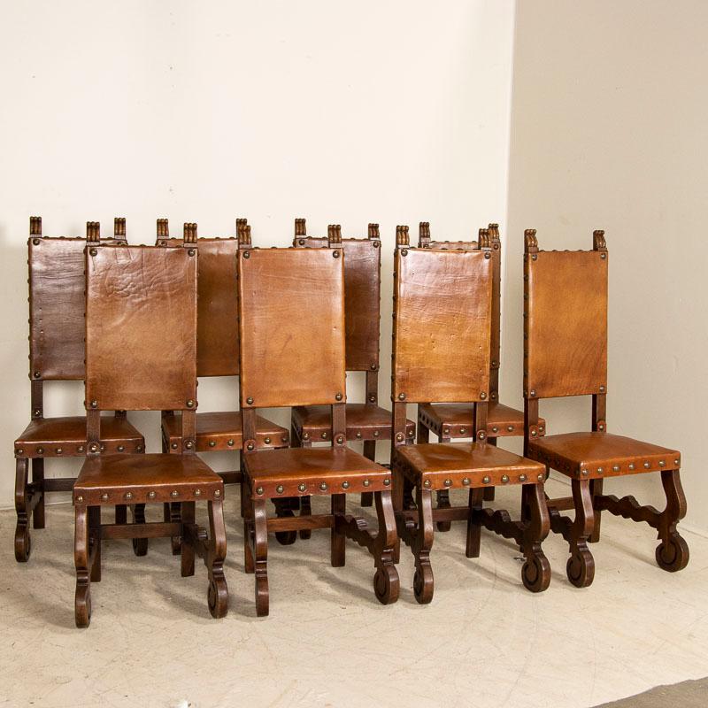 The tall leather backs create a distinctive statement in this set of 8 dining chairs. The curved baroque carved details of the oak base also add to their style along with over-sized nail head accents. The leather shows age related wear including