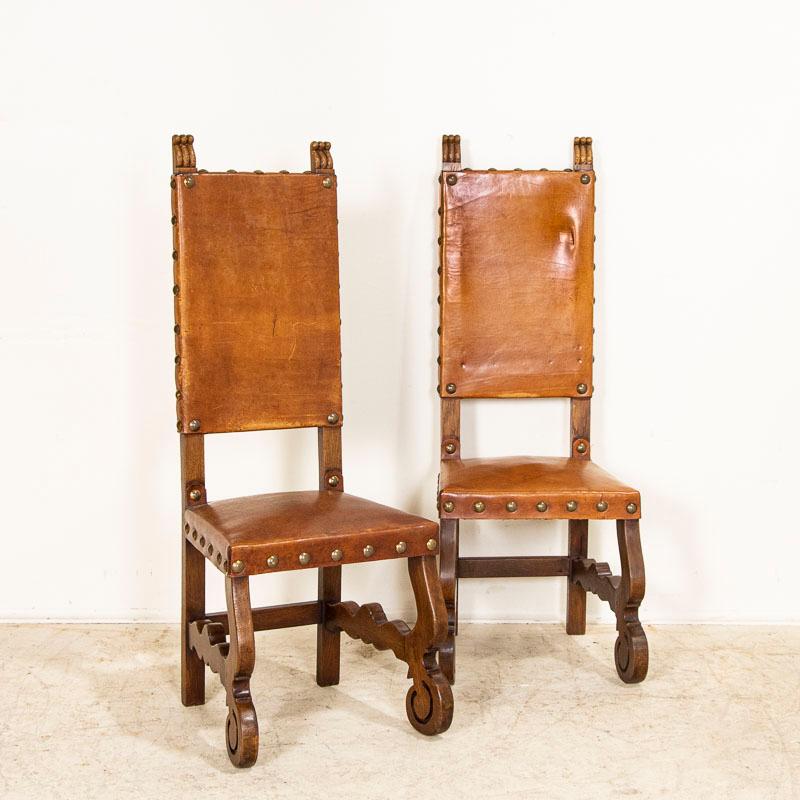 Spanish Vintage Set of 8 Tall Oak and Leather Dining Chairs from Spain