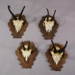 Vintage Set of Four Chamois Trophies on Carved Plaques, Germany ca. 1950s