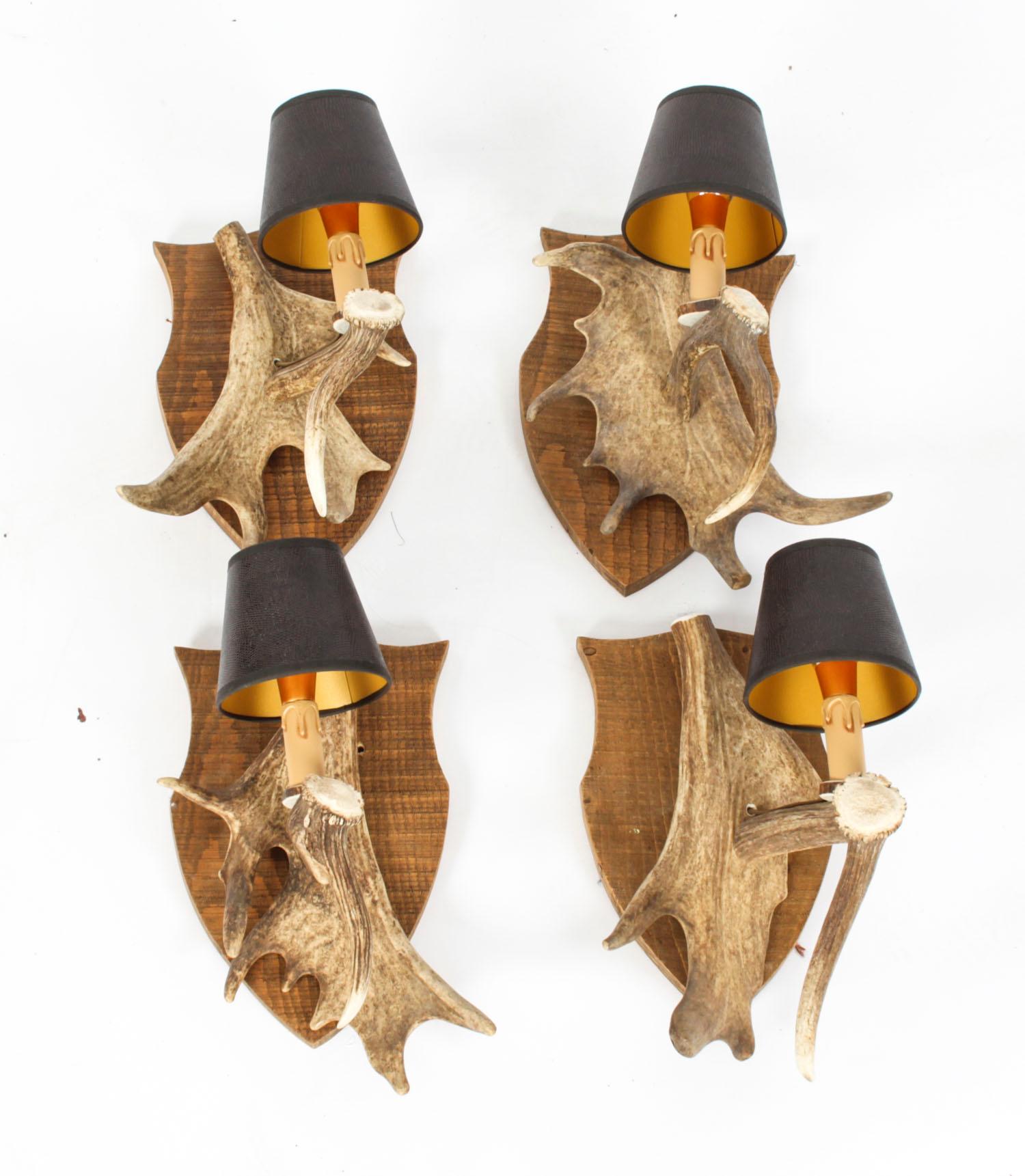 Vintage Set of Four Red Deer Antler Wall Lights, Mid 20th Century 1