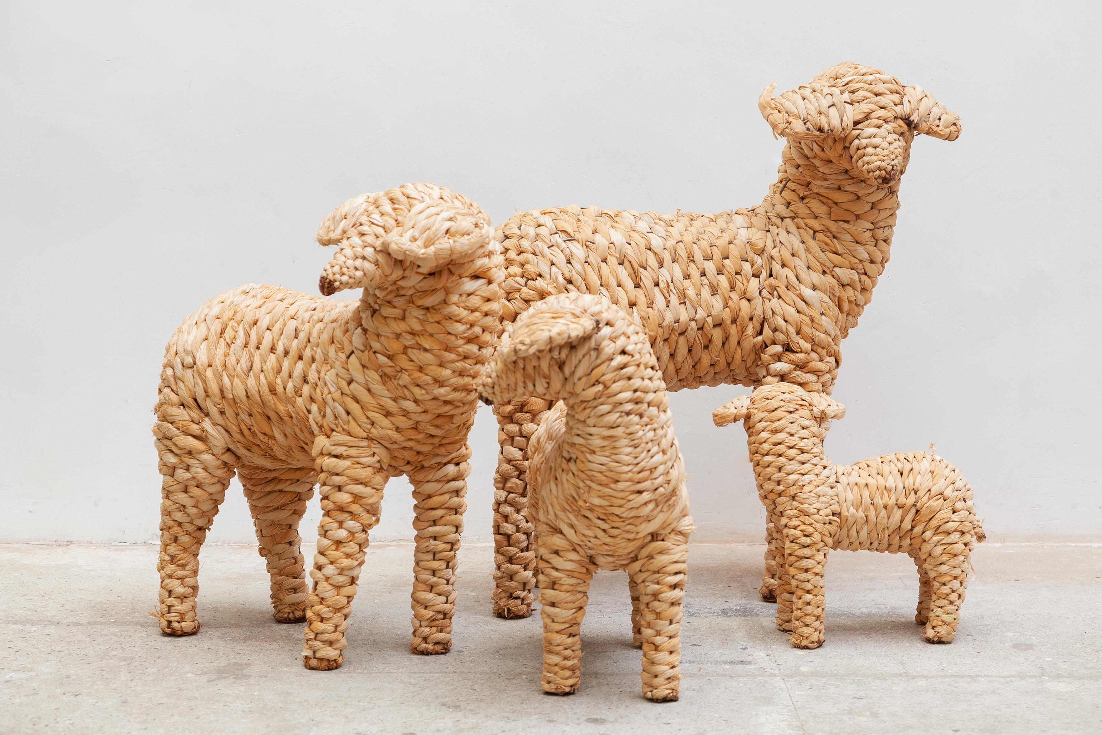 Decorative collection of four sheep's of different sizes in woven seagrass made in Spain 1990. Hand crafted in wicker, seagrass wrapped over a metal frame with.