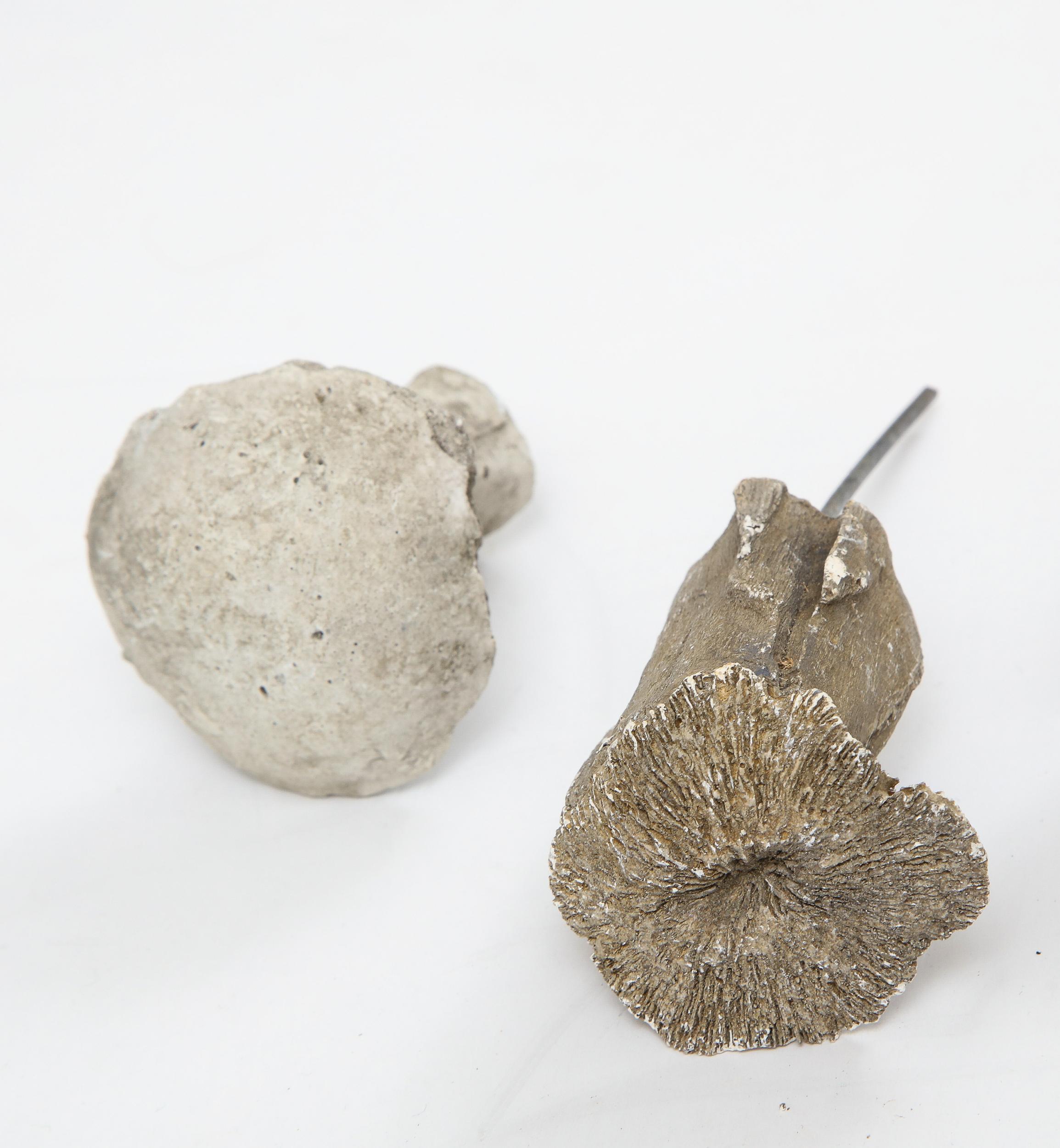 Concrete Vintage Set of Miniature Garden Mushrooms
