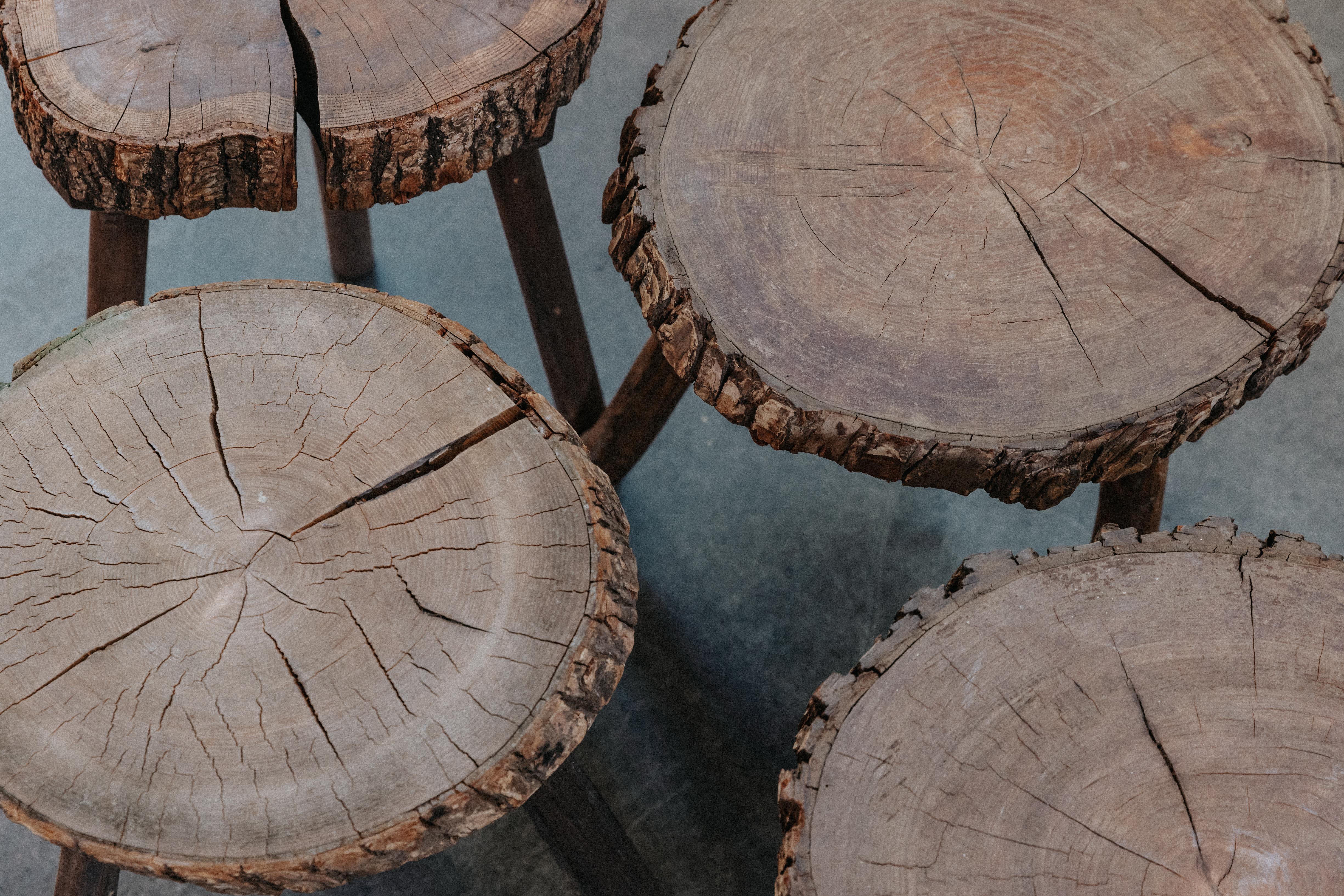 Mid-20th Century Vintage Set Of Seven Live Edge Tables From France, Circa 1950 For Sale