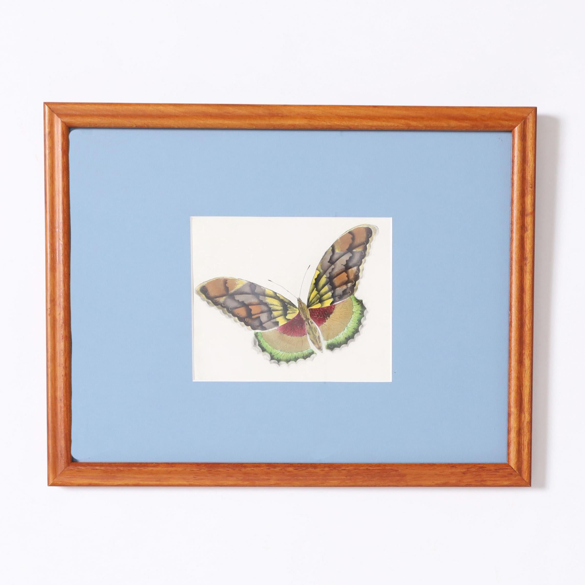 Ein prächtiger Satz von sechs Aquarellen auf Papier, die die überraschende Schönheit der verschiedenen Mottenarten zeigen. Präsentiert in Holzrahmen, mit Passepartout und unter Glas.