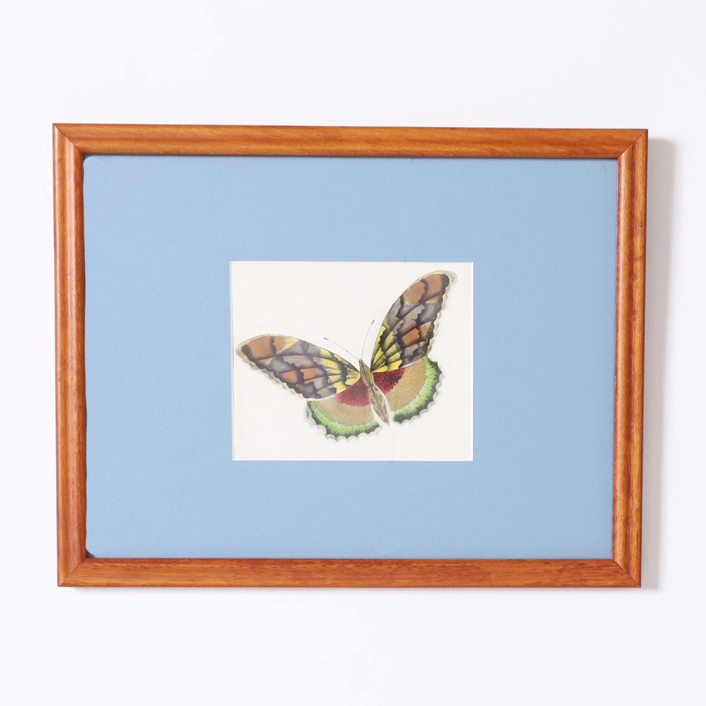 Lofty set of six watercolors on paper depicting the surprising diverse beauty of moth species. Presented in wood frames, matted and under glass.