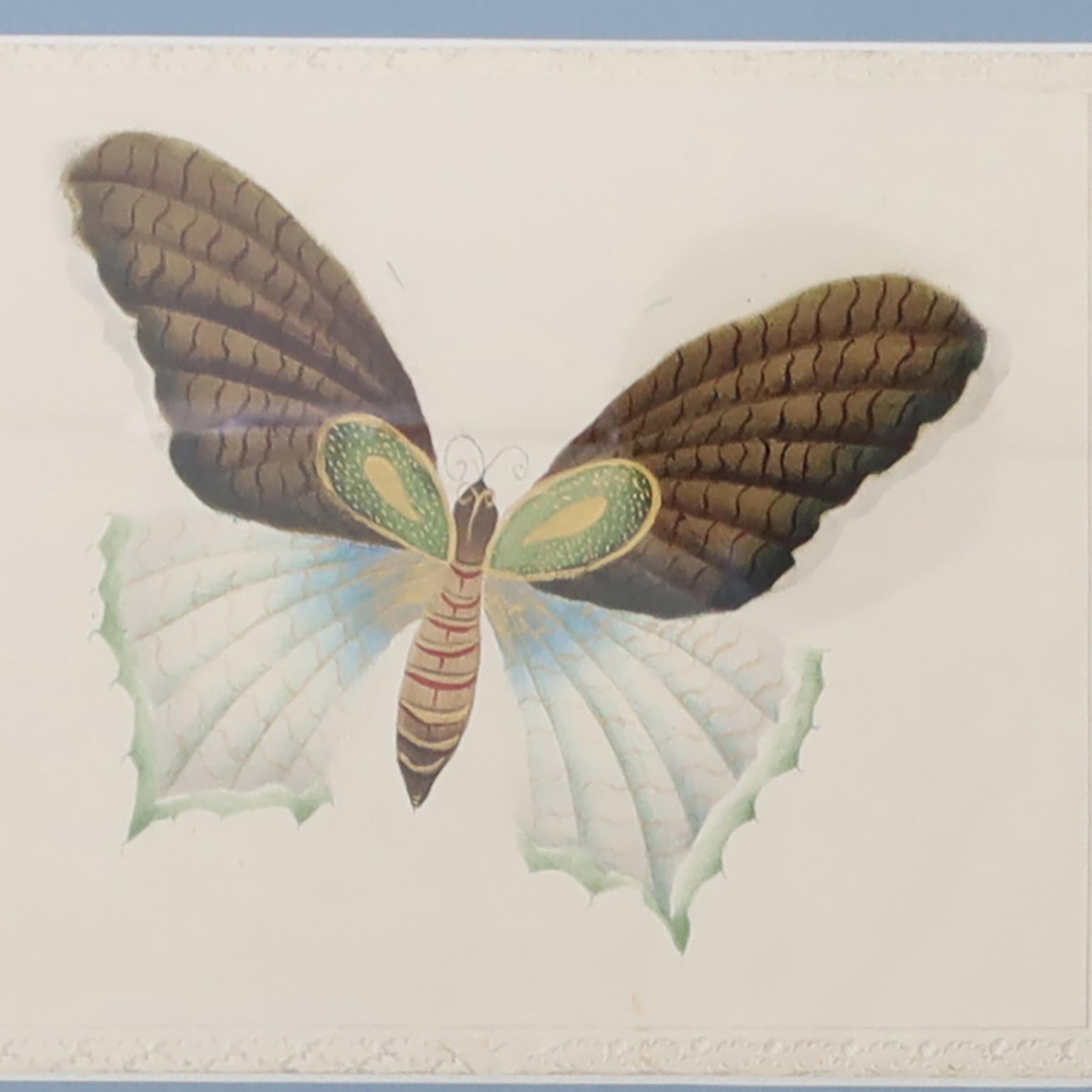 Painted Vintage Set of Six Moth Watercolors For Sale