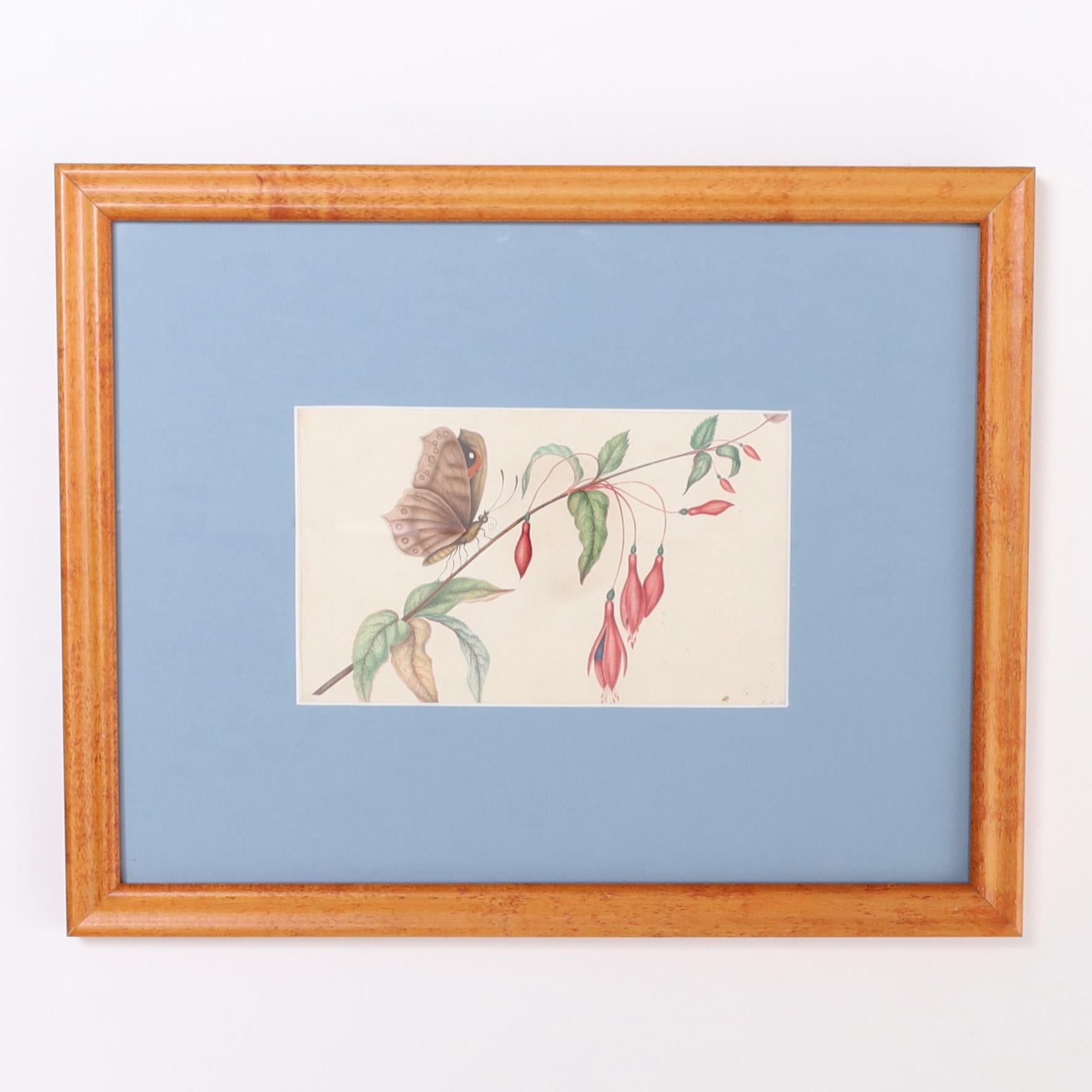 Vintage Set of Six Moth Watercolors In Good Condition For Sale In Palm Beach, FL