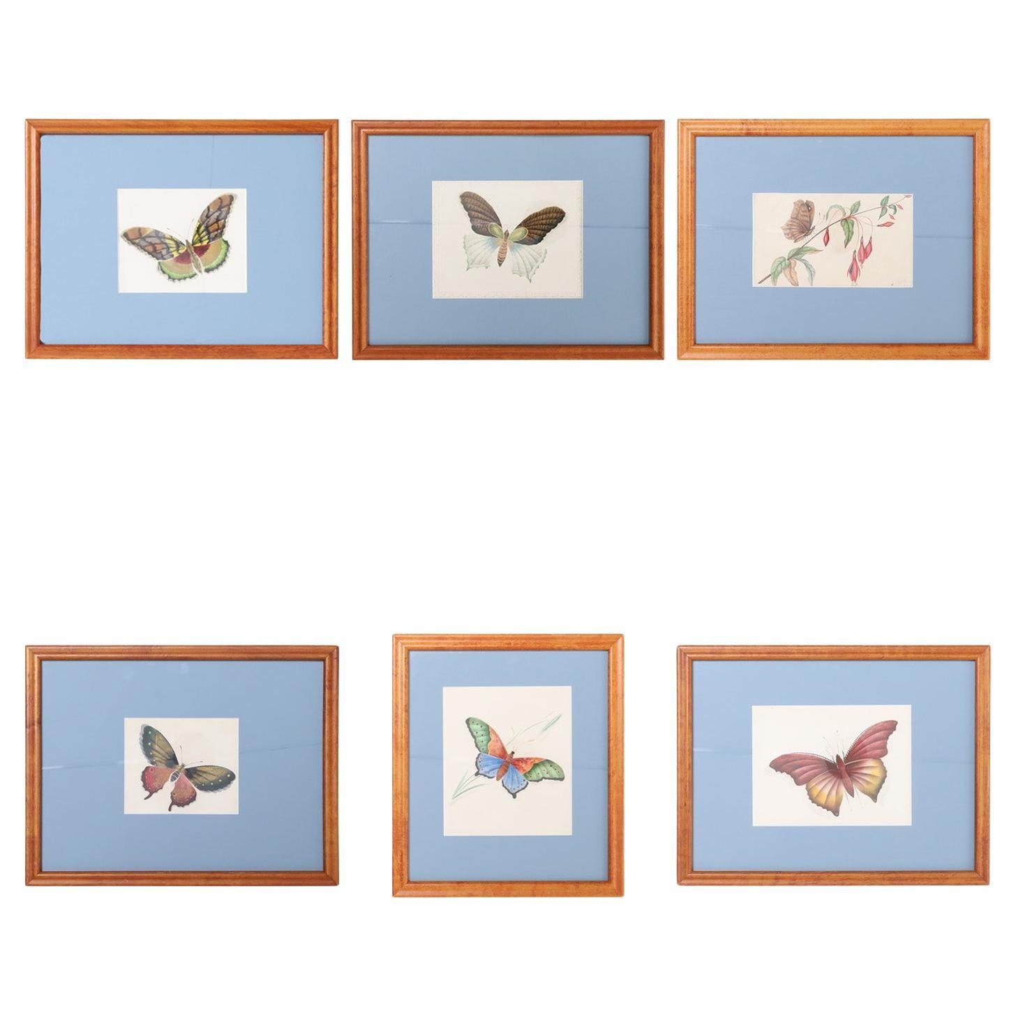 Vintage Set of Six Moth Watercolors