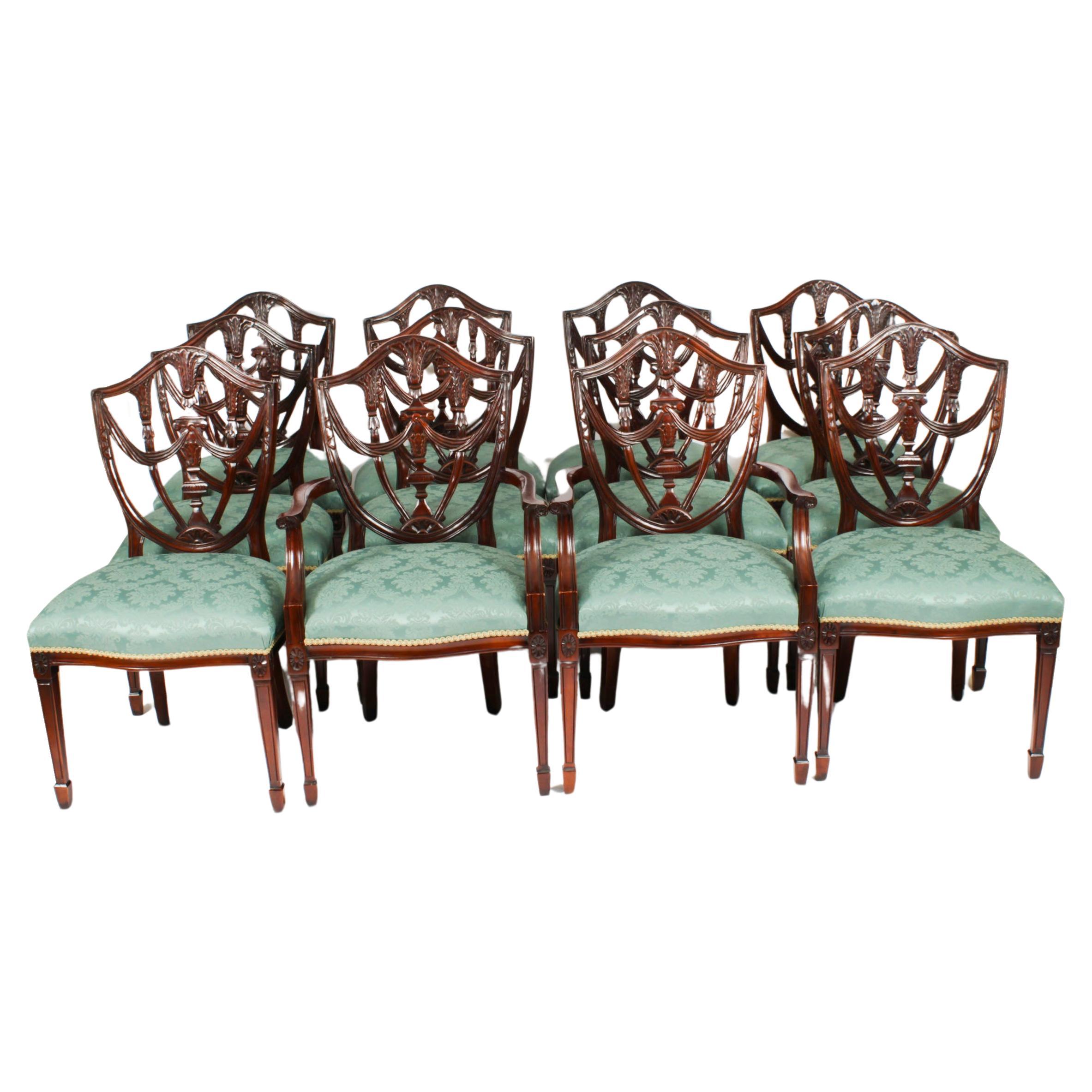 Set von zwölf Federal Revival-Esszimmerstühlen mit Schildrückenlehne, 20. Jahrhundert, Vintage