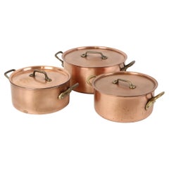 Vintage Set Professional Cooking Pots Red Copper Unicorn