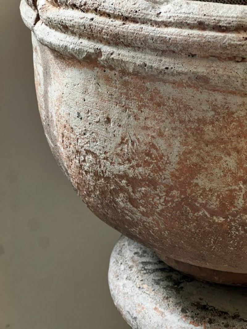 Jardinera de Piedra Sevilla Vintage con Pedestal siglo XIX en venta