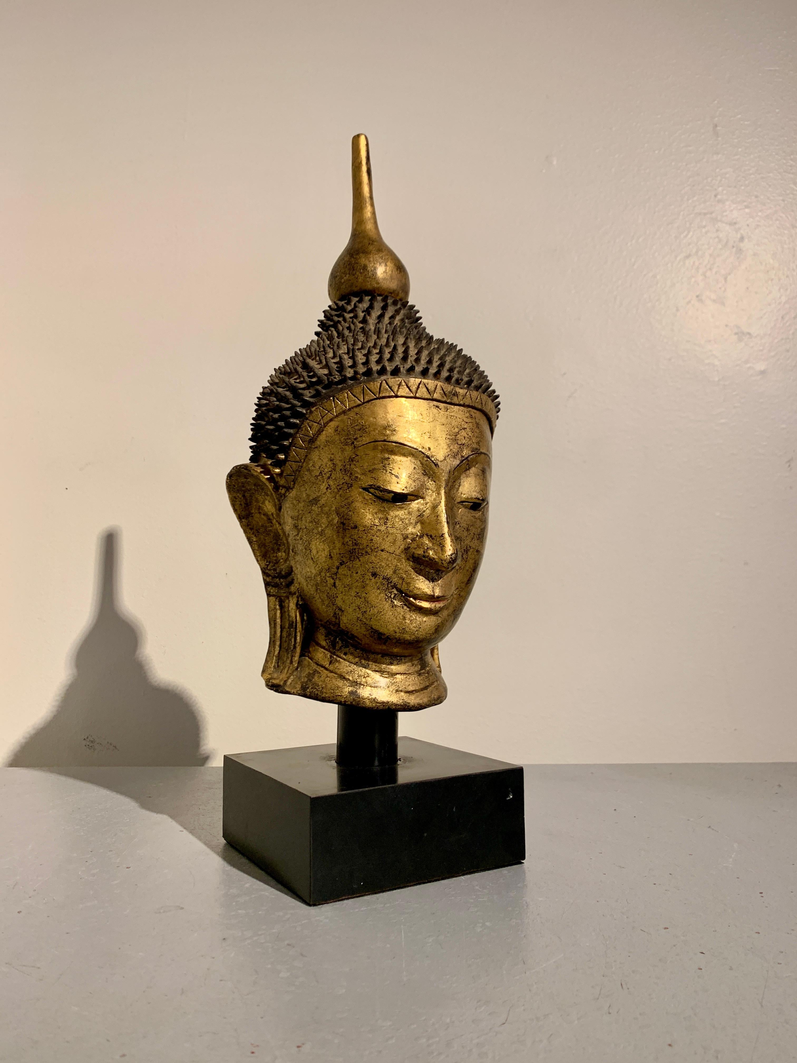 A serene vintage Buddha head of gilt dry lacquer in the Shan Burmese style, but made in Thailand for the export market, circa 1960s, mounted on a black laminate base. 

The Buddha head crafted in the dry lacquer technique, and richly gilt. The