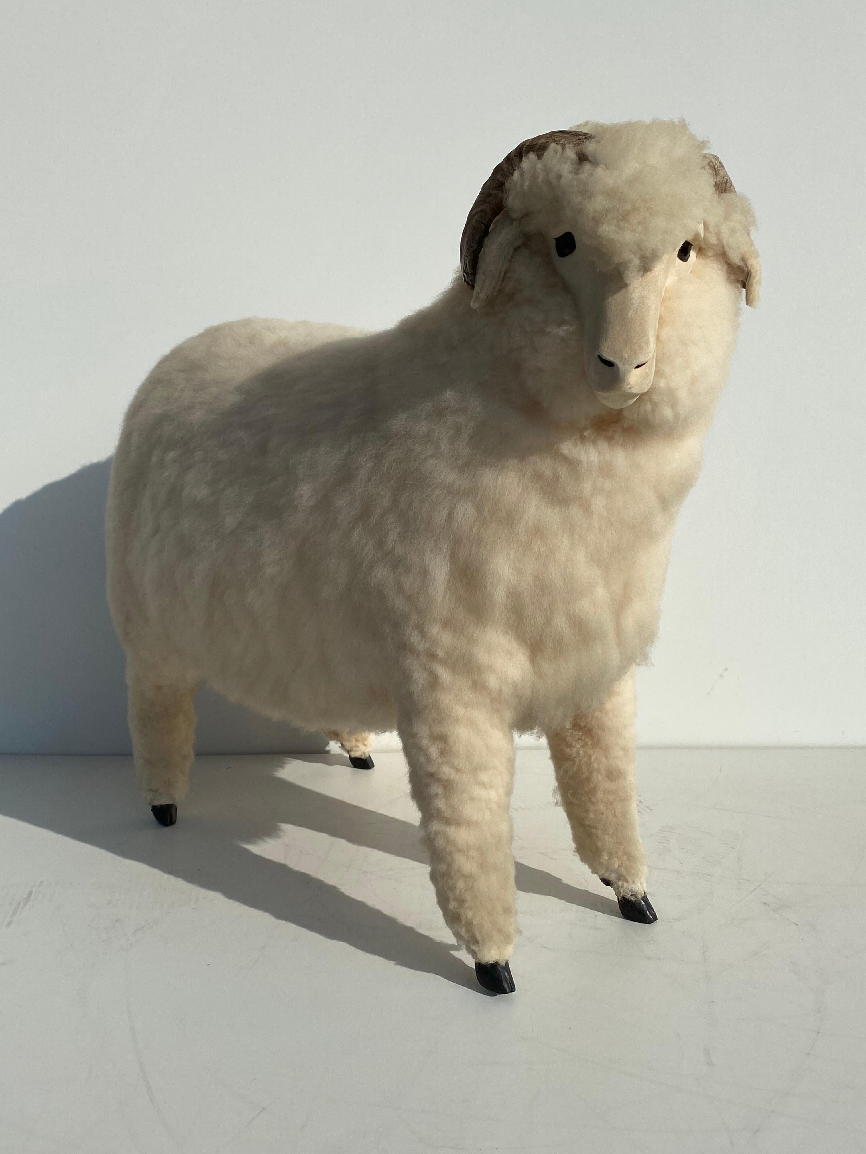 sheep footrest