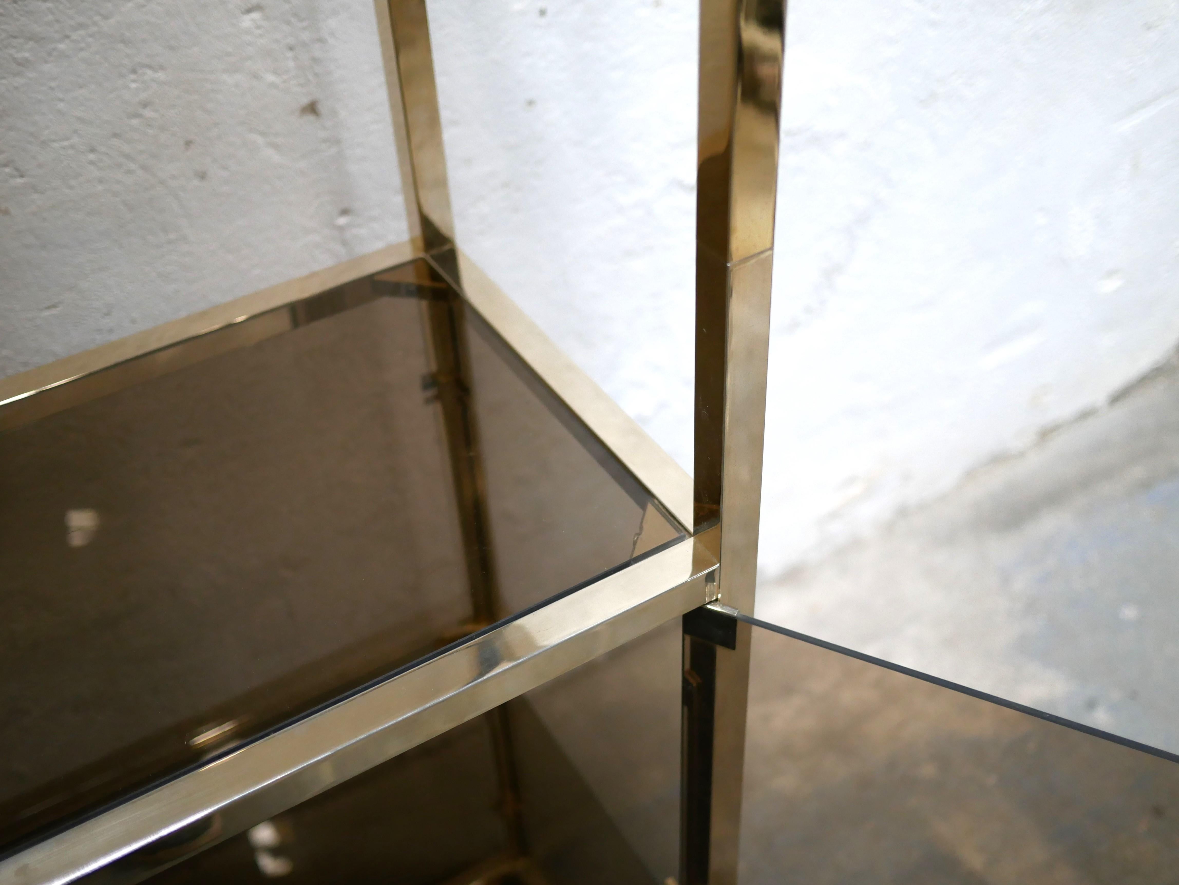 Vintage Shelf Bookcase in Brass and Smoked Glass For Sale 5