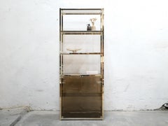 Vintage Shelf Bookcase in Brass and Smoked Glass