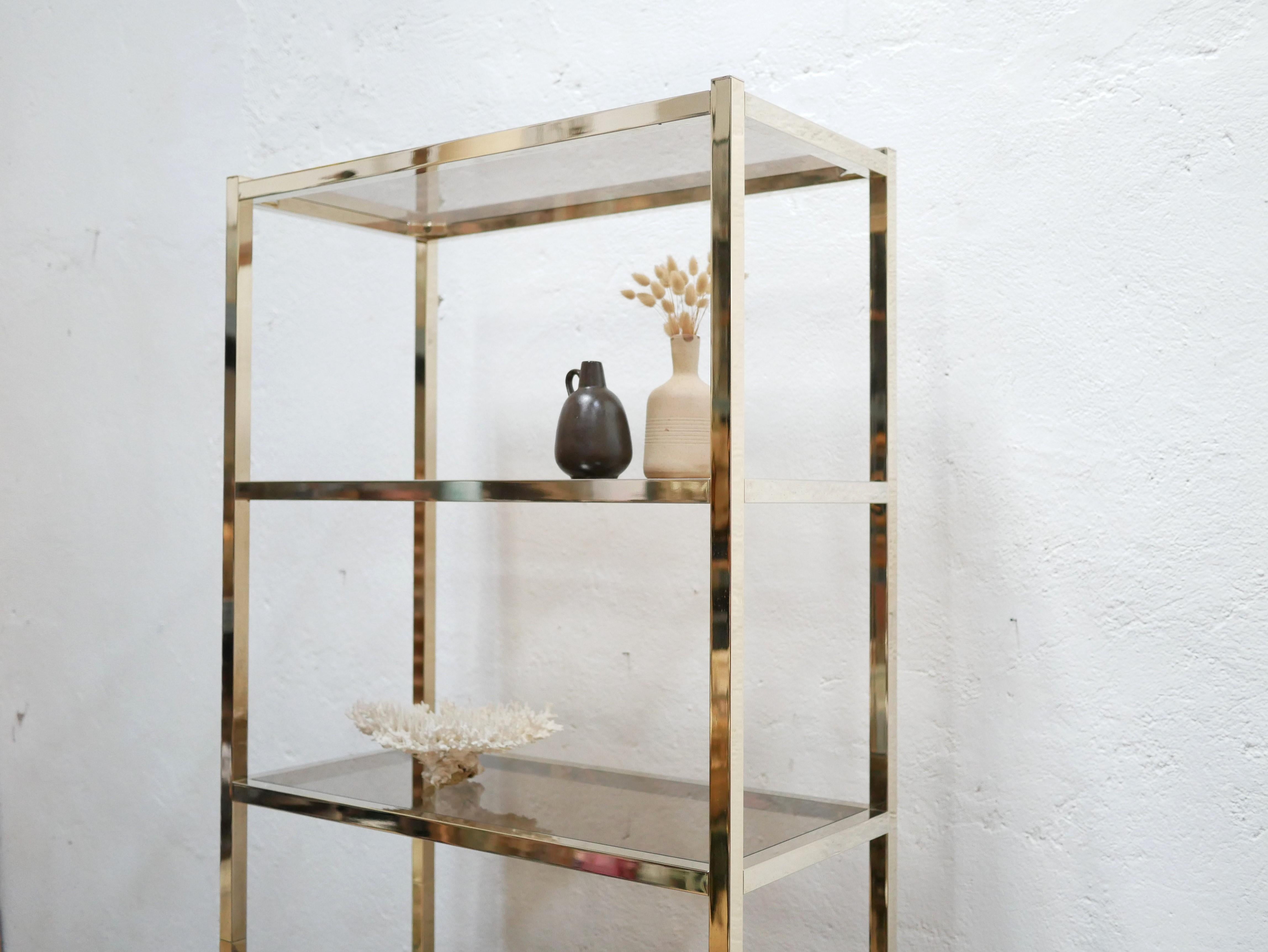 Vintage Shelf Bookcase in Brass and Smoked Glass For Sale 1