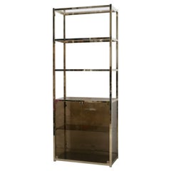 Bibliothèque à étagères vintage en laiton et verre fumé