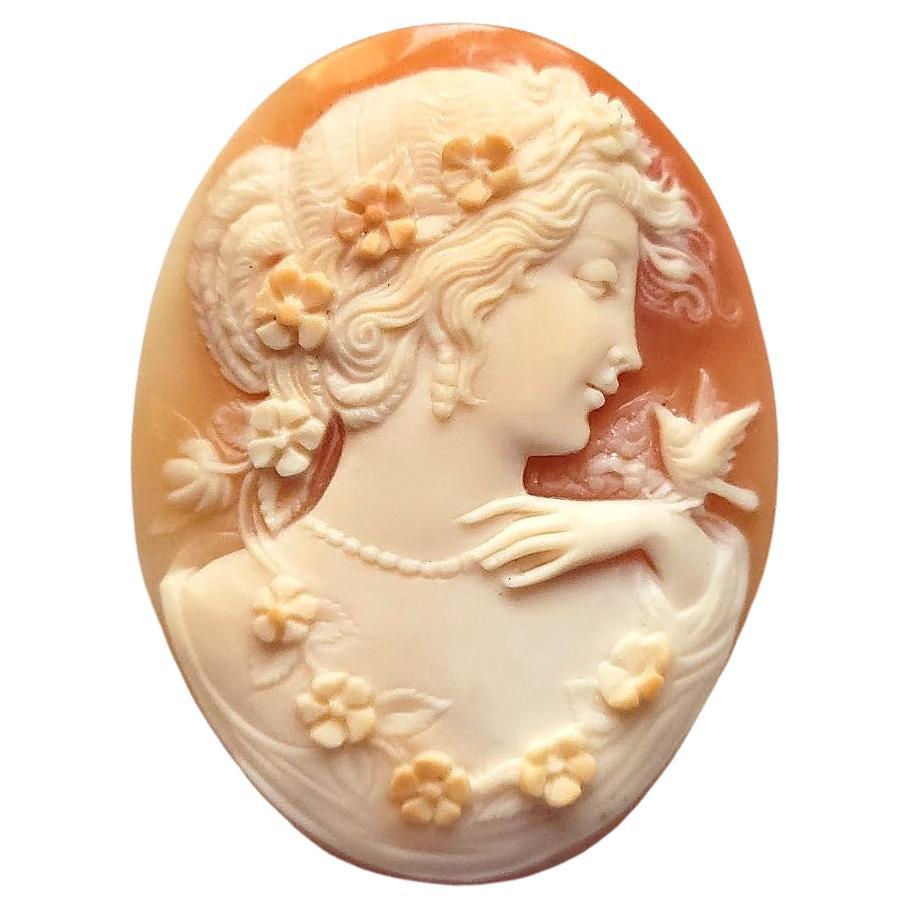Vintage Shell Cameo G.Noto For Sale