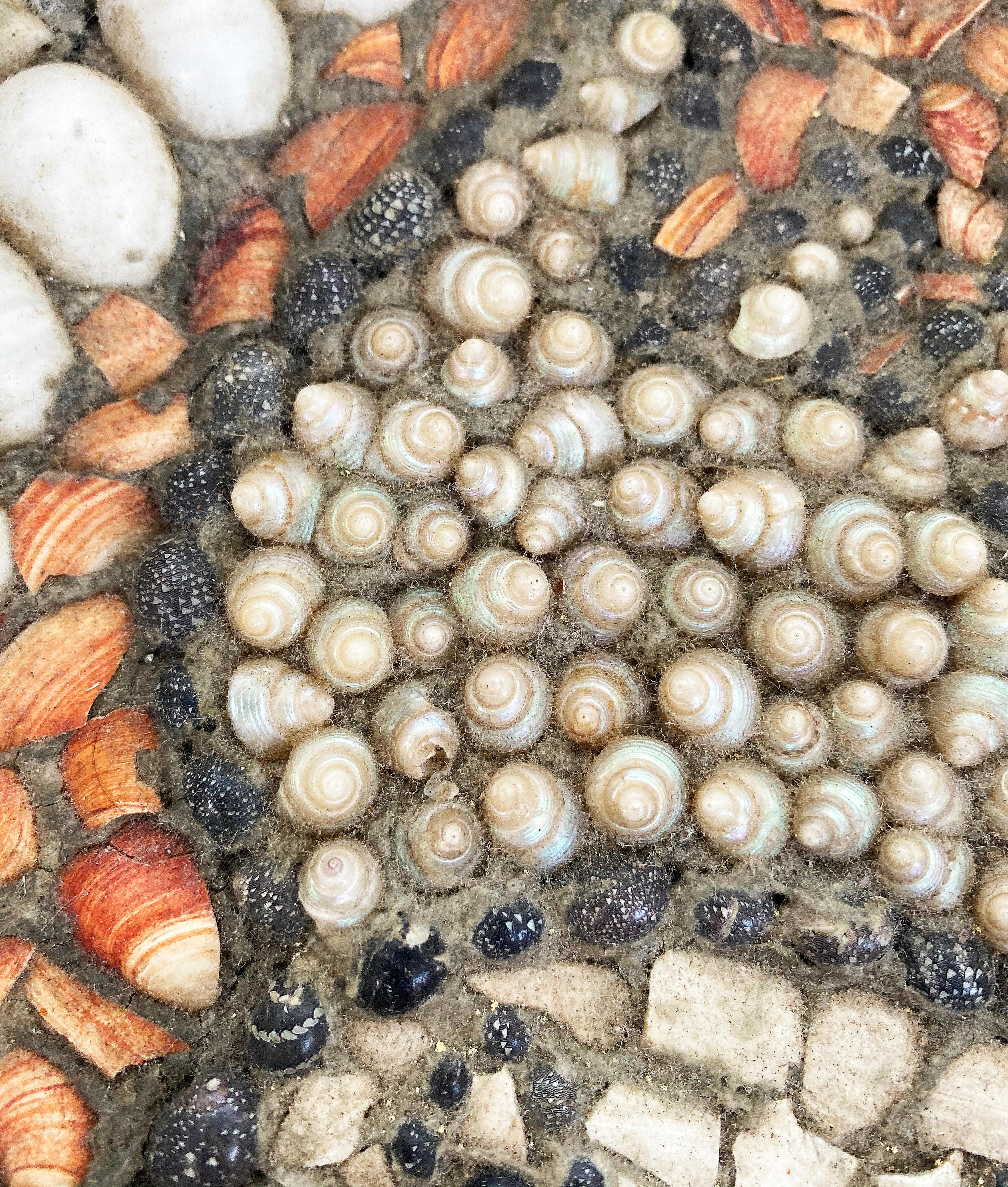 Vintage Shell Centerpiece Bowl by Barton Lidicé Beneš, 1942-2012 2