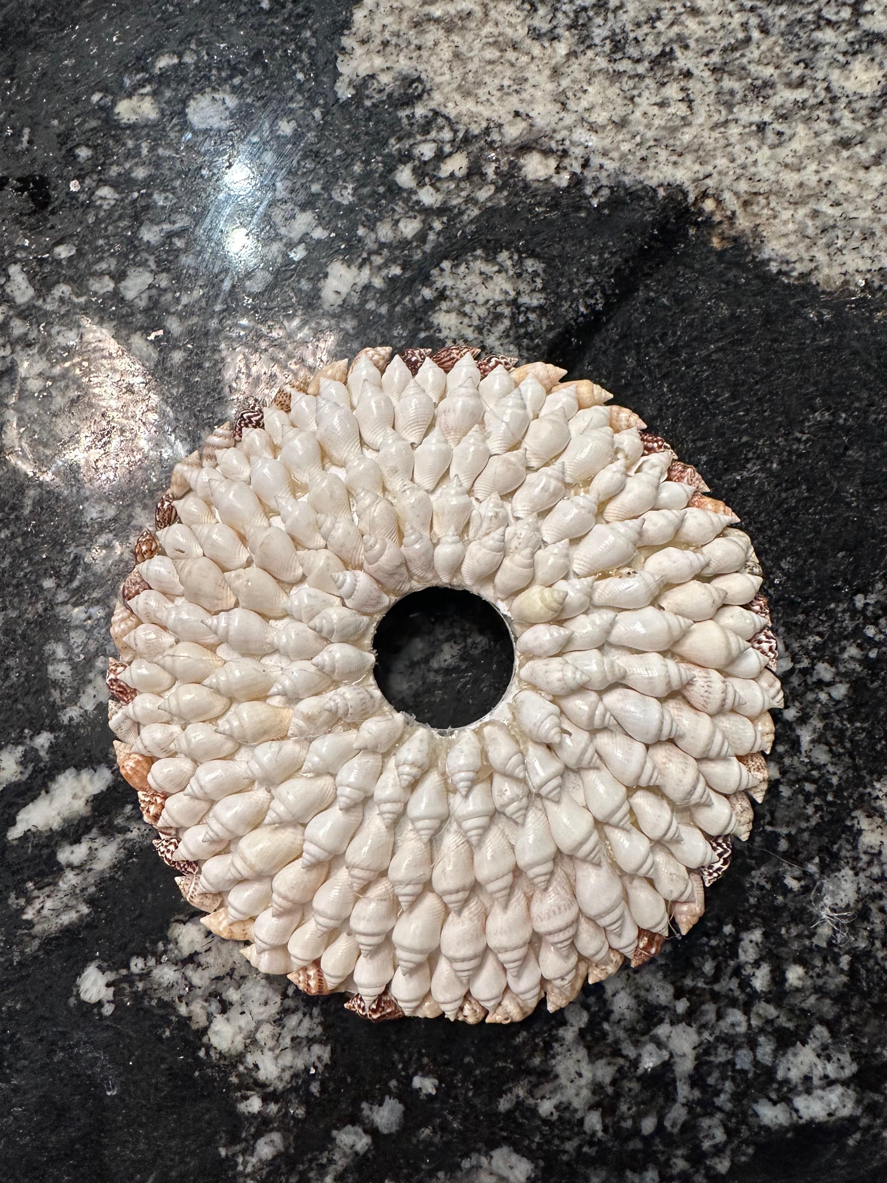 Vintage Shell Seashell Encrusted Coastal Palm Beach 12 Light Chandelier In Good Condition For Sale In West Palm Beach, FL