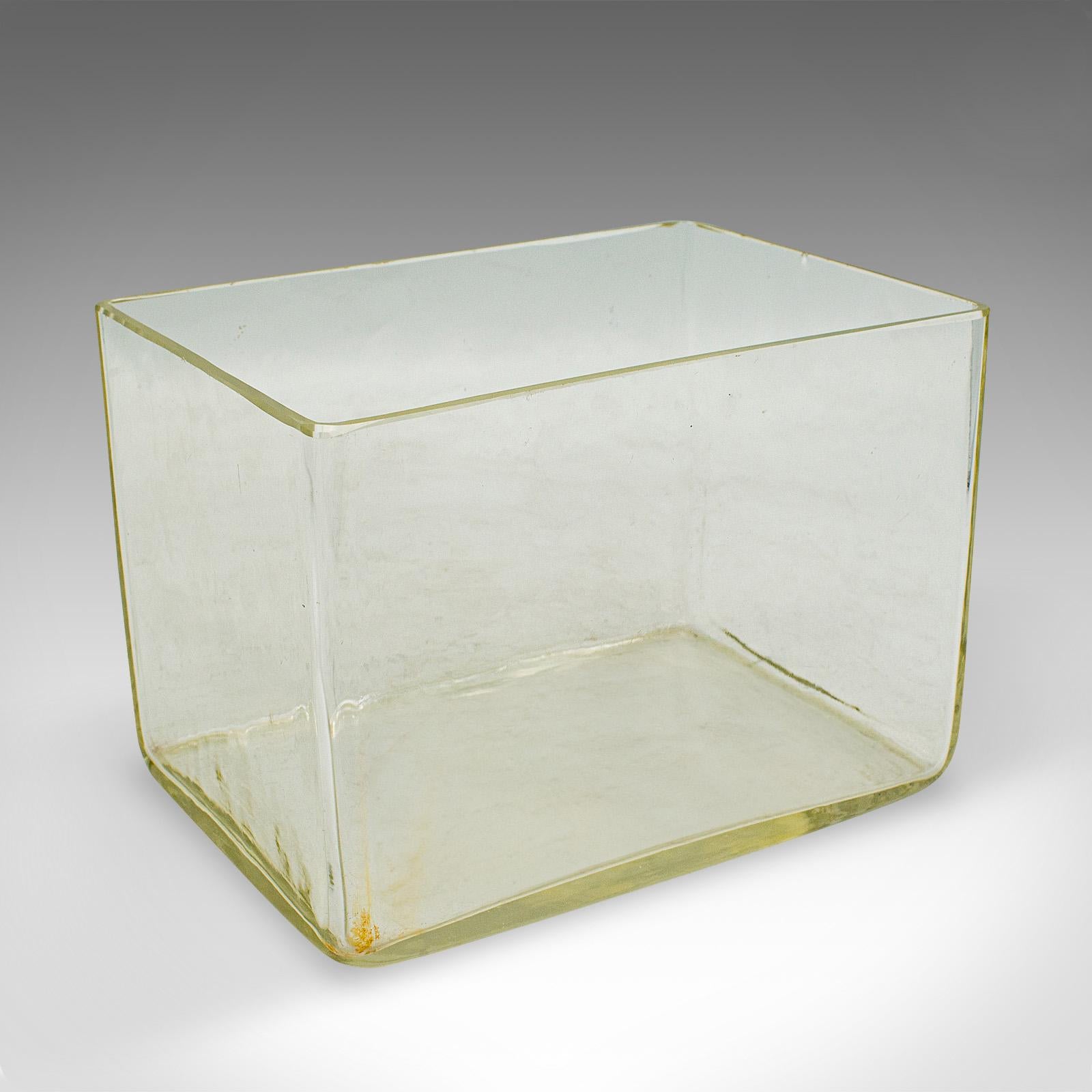 Espositore da banco vintage, inglese, gesso, figura decorativa, Art Decor in vendita 4