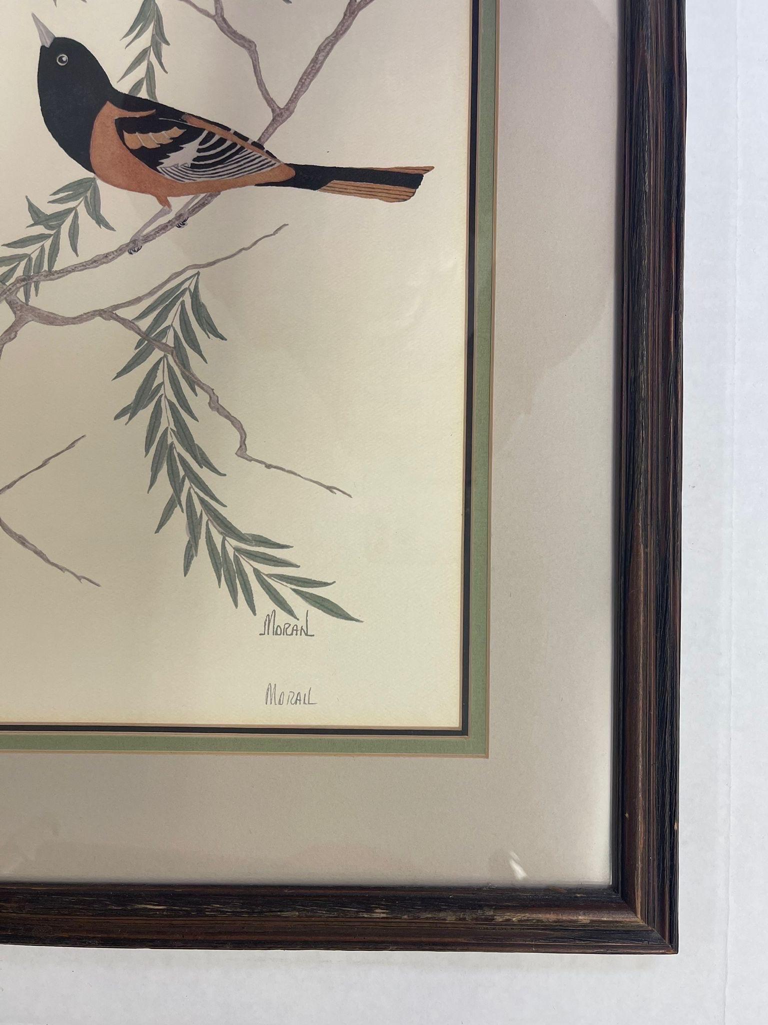 Vintage Signed and Framed Artwork of Two Baltimore Orioles. For Sale 3