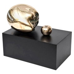 Vintage Signed Bronze Skull Head and Apple Large Sculpture on Black Wood Base