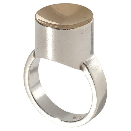 Vintage Silver and Gilded Silver Ring by Wolfgang Gessl Made 1996 For Sale