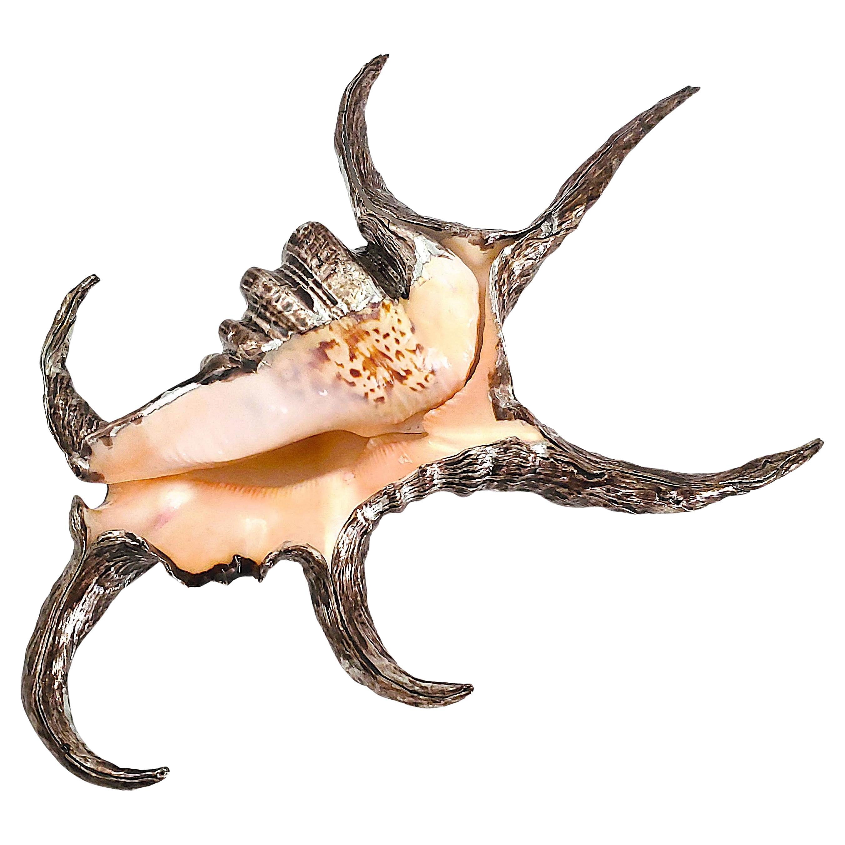 Seashell shell Table Sculpture, Partially Silver Dipped, 1990s For Sale