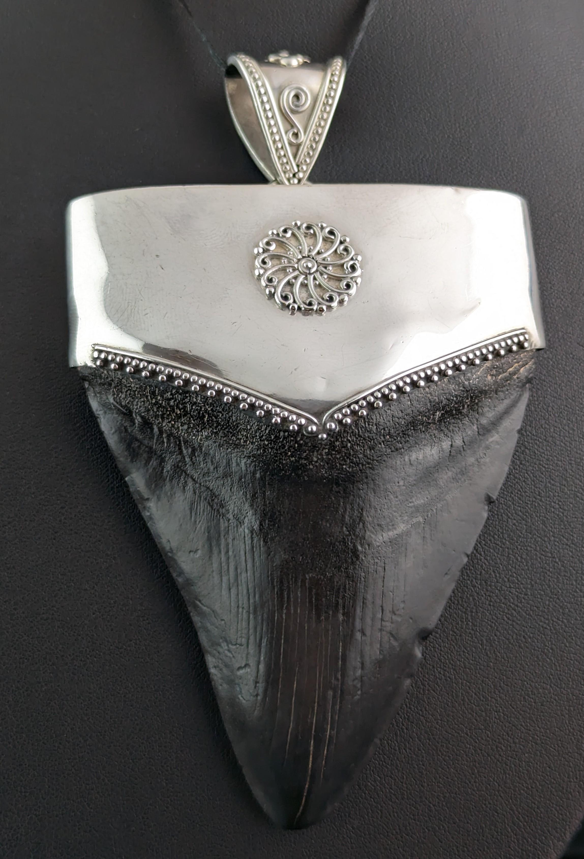 Vintage silver mounted fossil Megalodon tooth pendant  5