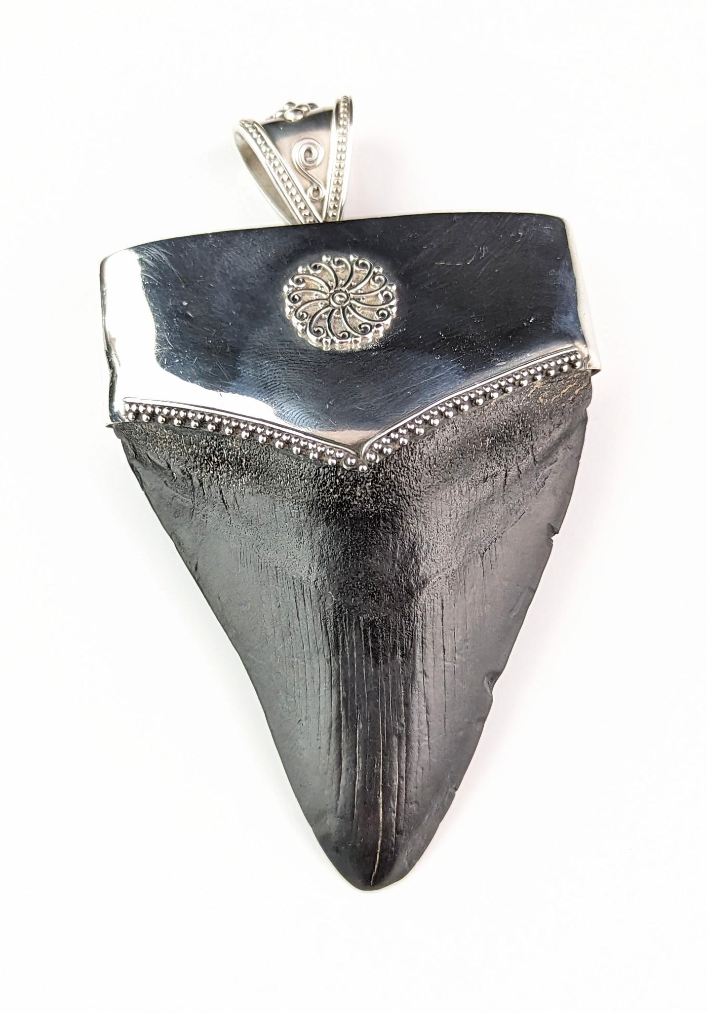 Vintage silver mounted fossil Megalodon tooth pendant  7