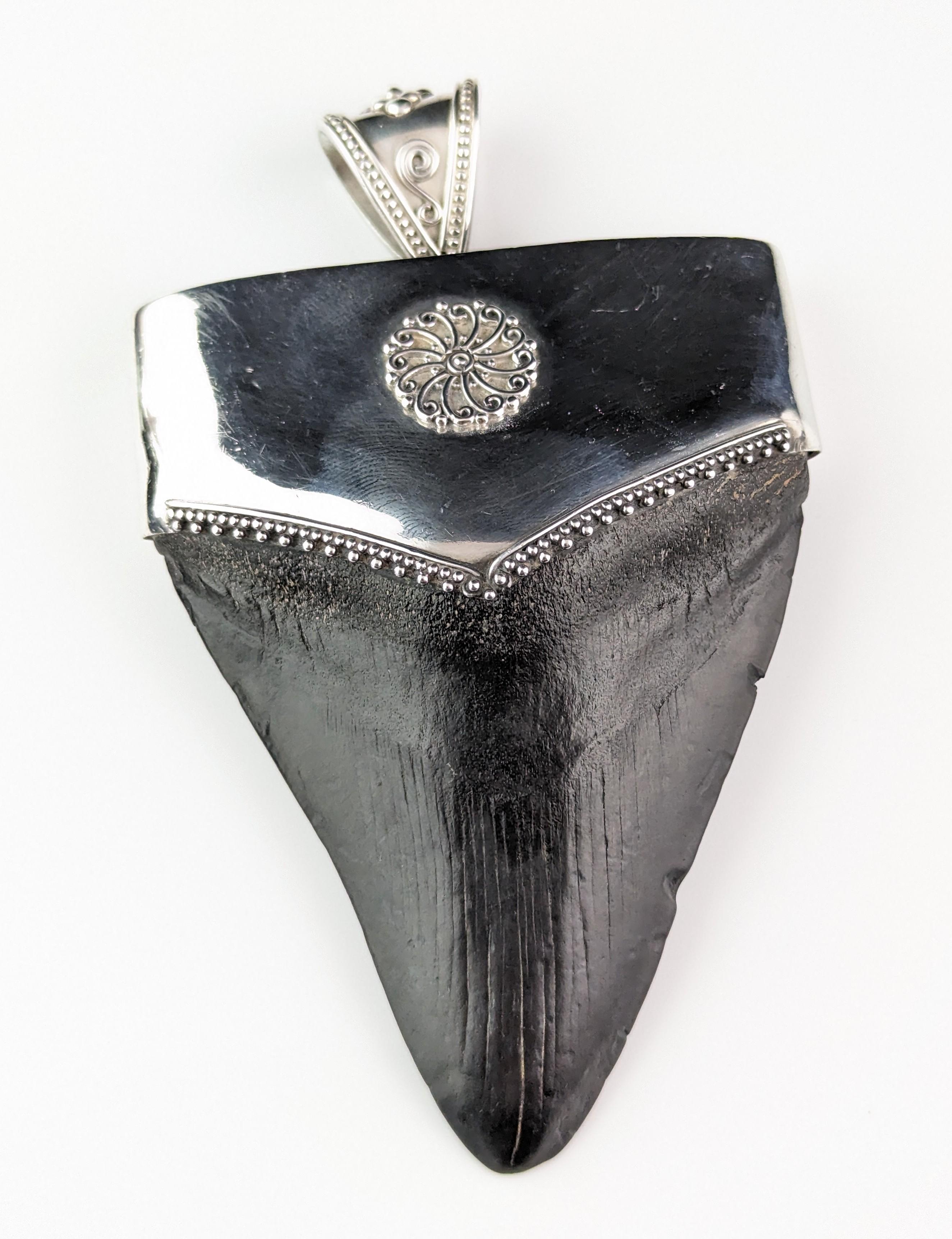 Vintage Silber montiert fossilen Megalodon Zahn Anhänger 11