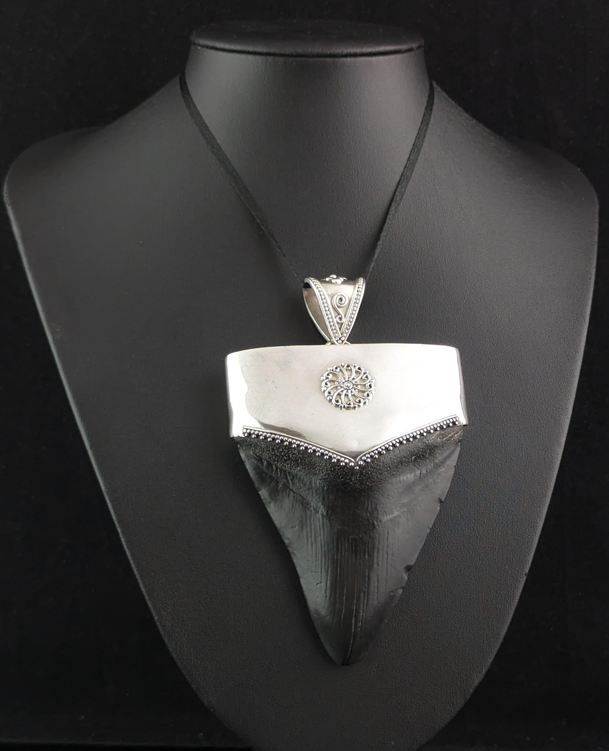 This rare and unusual vintage pendant really stands out from the crowd.

It is a huge chunky pendant crafted in sterling silver with a repousse design, the silver mont holds a huge fossilised Megalodon tooth.

The tooth has natural striations and