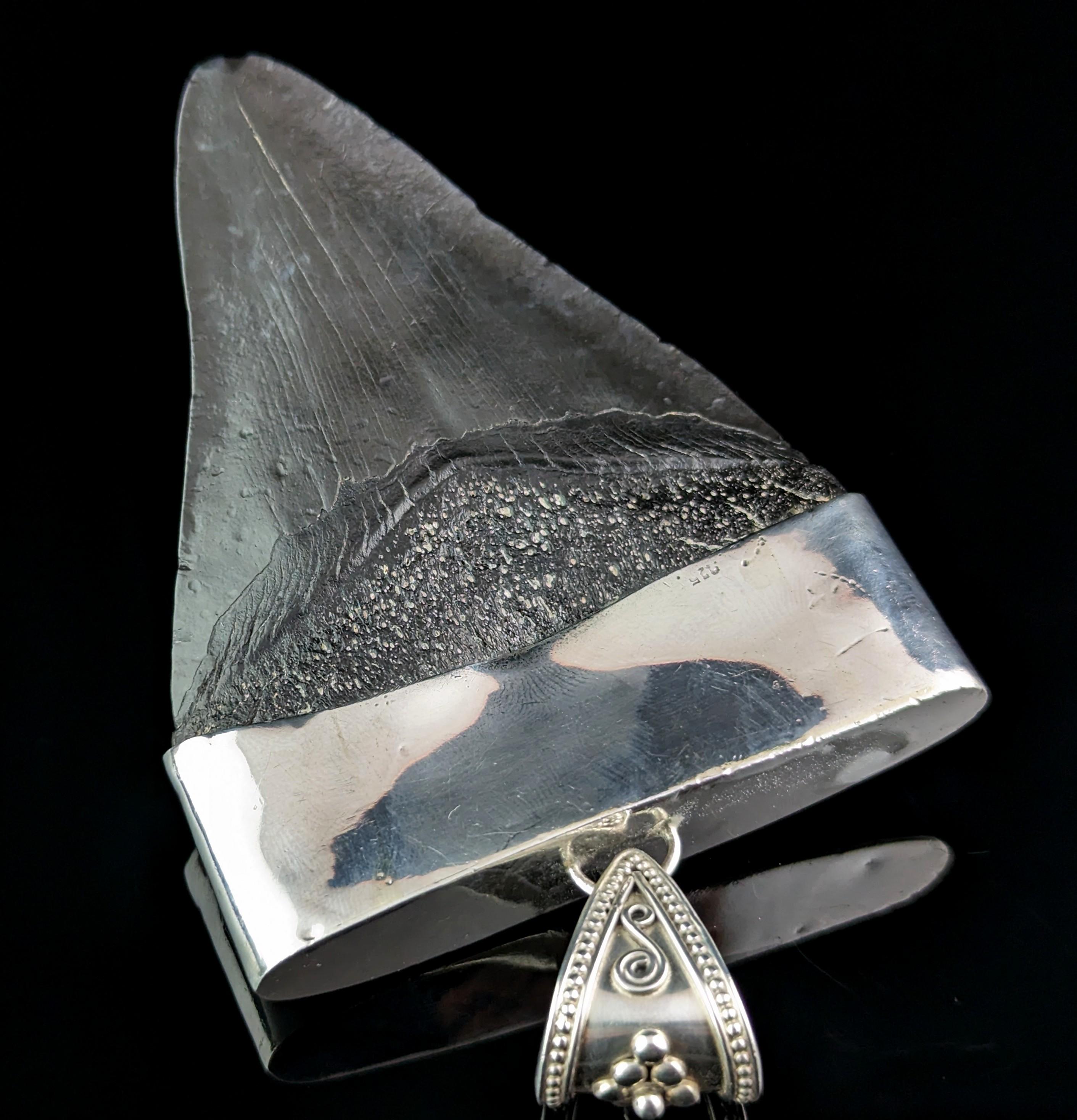Vintage silver mounted fossil Megalodon tooth pendant  1