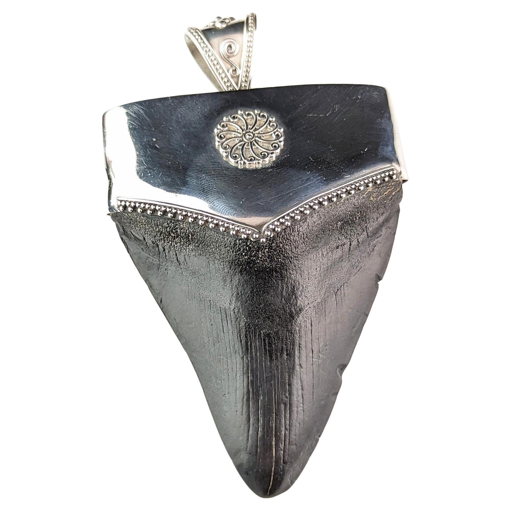 Vintage silver mounted fossil Megalodon tooth pendant 