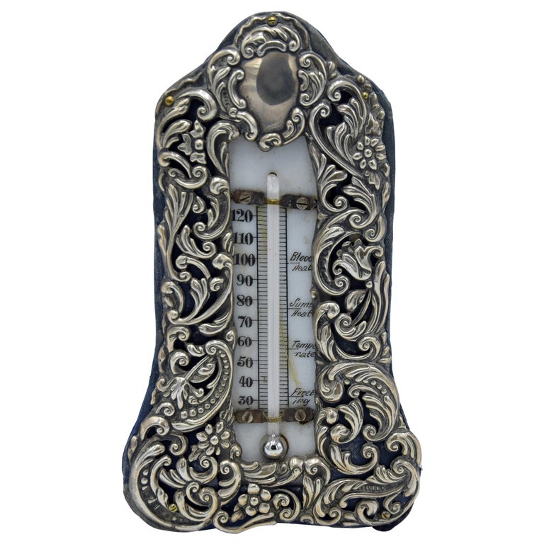 Vintage Silver Thermometer, Italy, Early 20th Century For Sale at 1stDibs