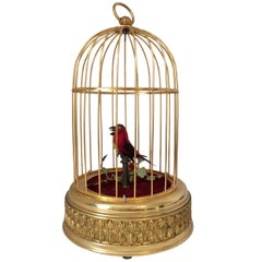 Vieille cage à oiseaux chantante