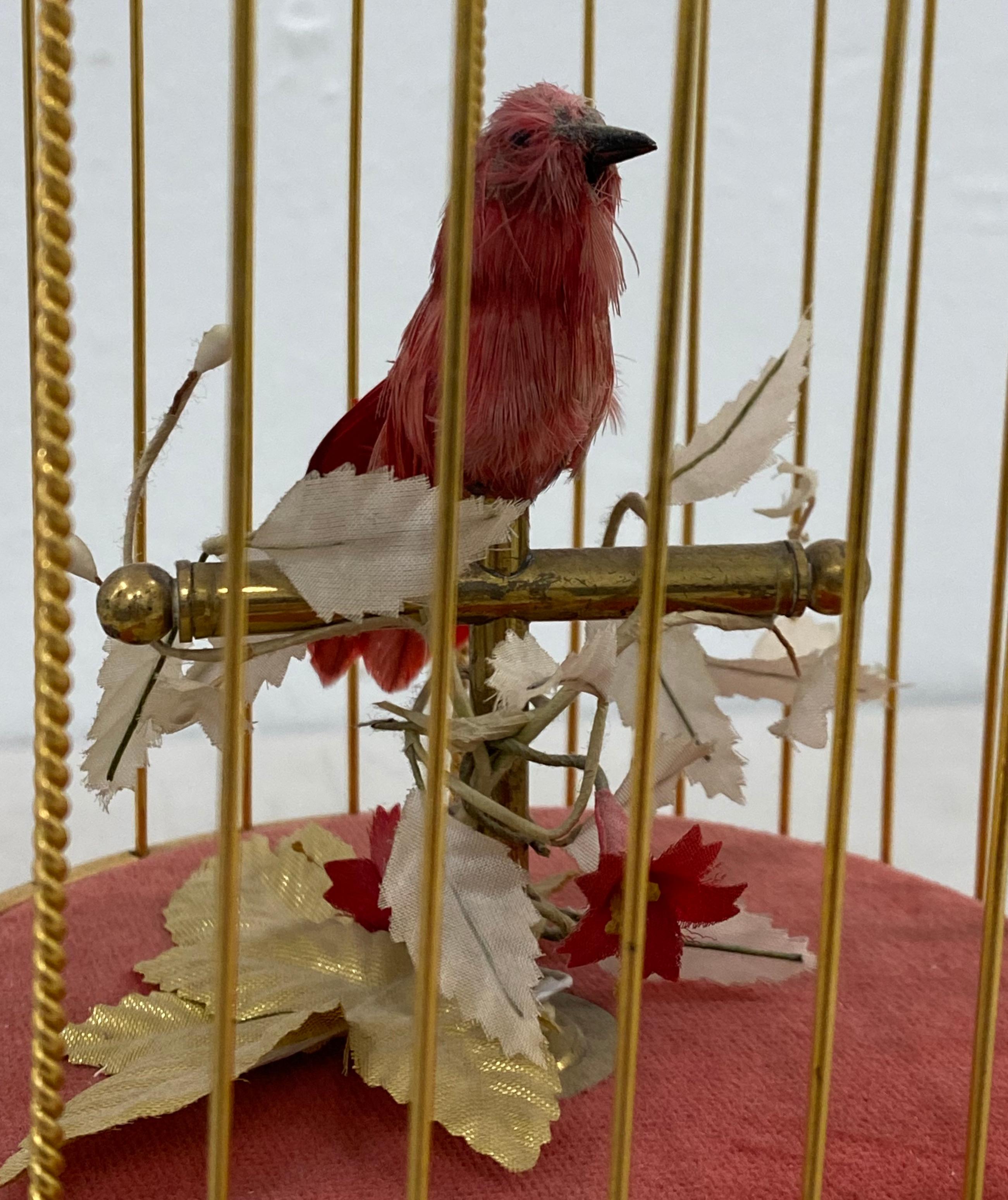 bird cage music box