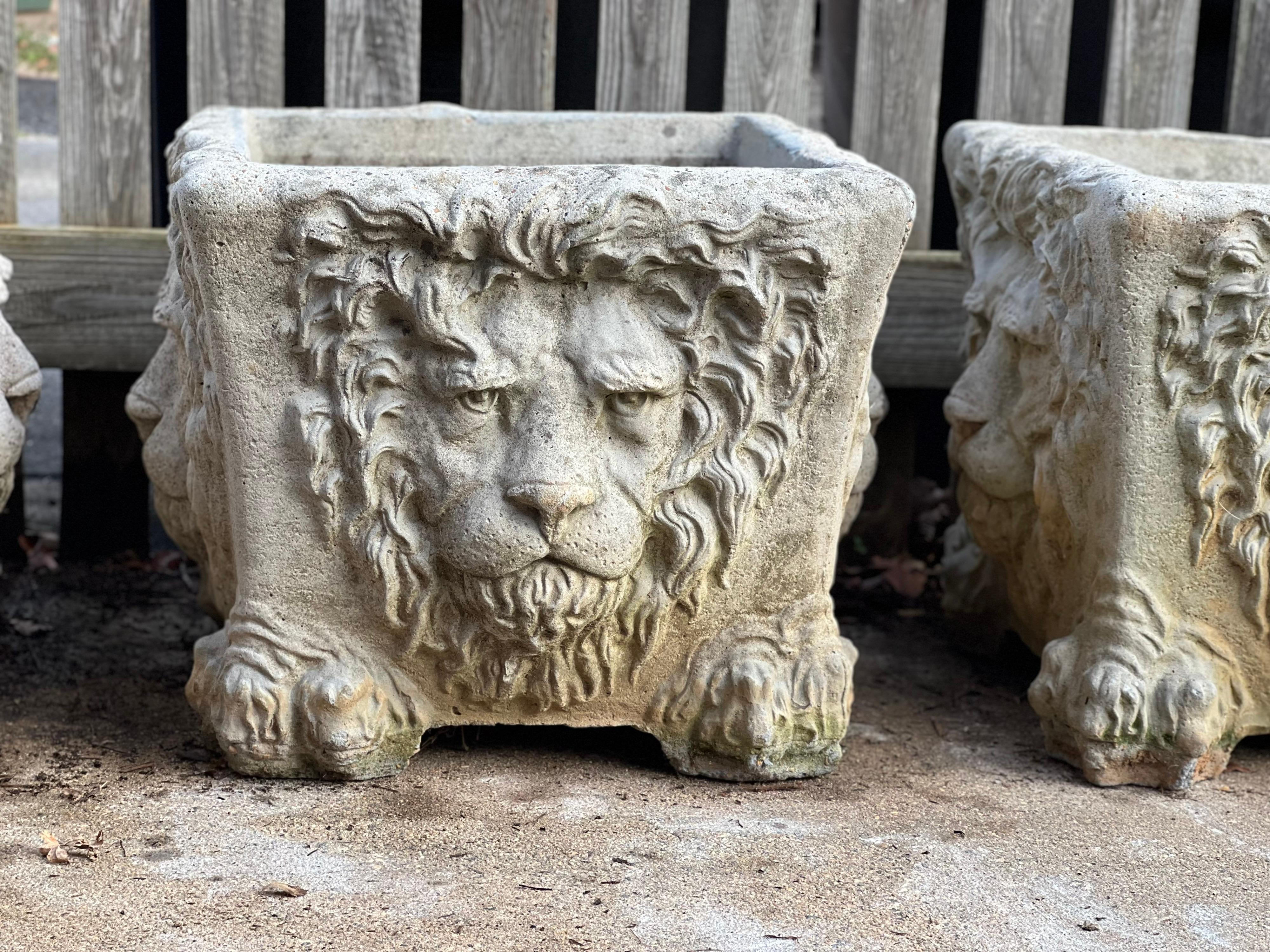 20ième siècle Jardinière Vintage Single Stone Lion en pierre moulée en vente