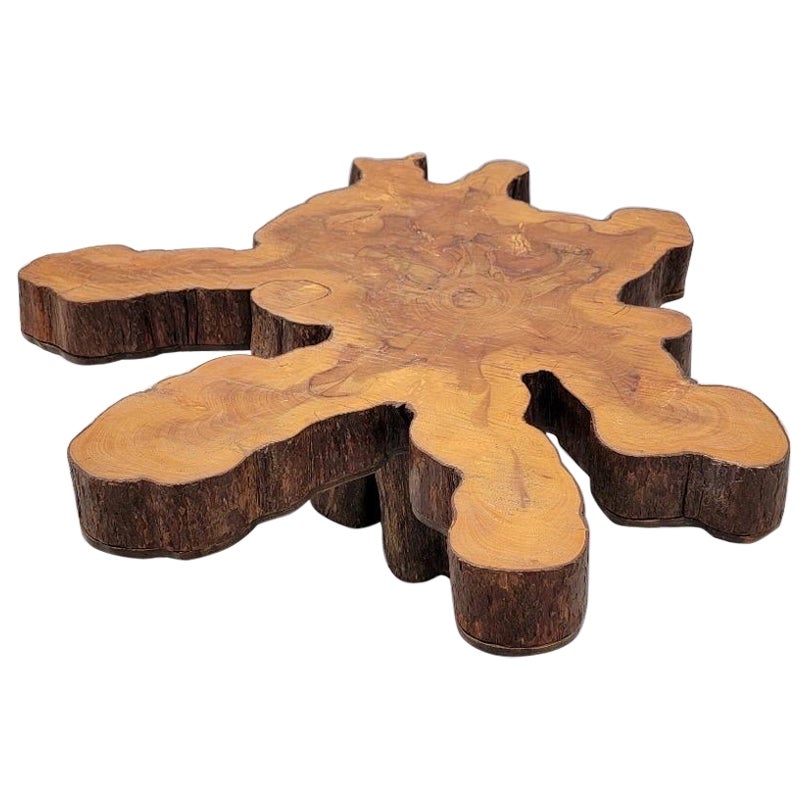 Vintage Single Slab Live Edge Natural Free-form Tree Cut Couchtisch

Dieser unregelmäßig geformte niedrige Tisch aus einem Baumstamm ist ein organischer Akzent, der Ihre natürliche Einrichtung zusammenhält. Das Stück würde sich gut als Couchtisch in