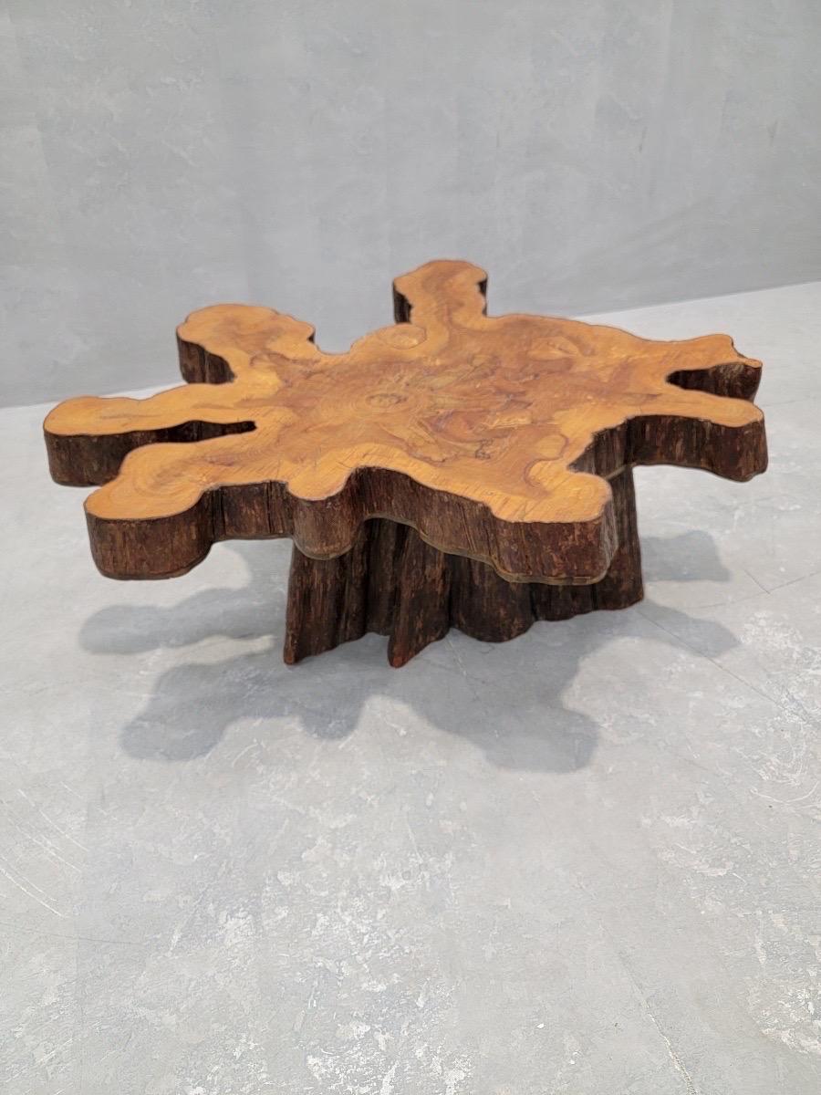 Vintage Single Slab Live Edge Natural Free-form Tree Cut Coffee Table

This irregularly shaped tree trunk low table is an organic accent piece to tie your natural interior together. The piece would look beautiful as a coffee table in a lake or ski